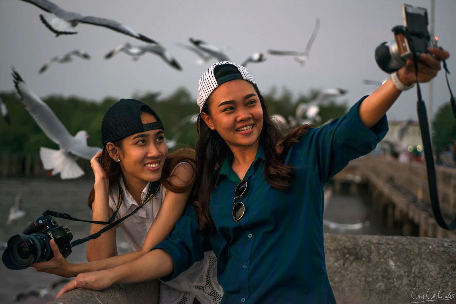 Nikon D800 sample photo. Selfying with the seagulls! photography