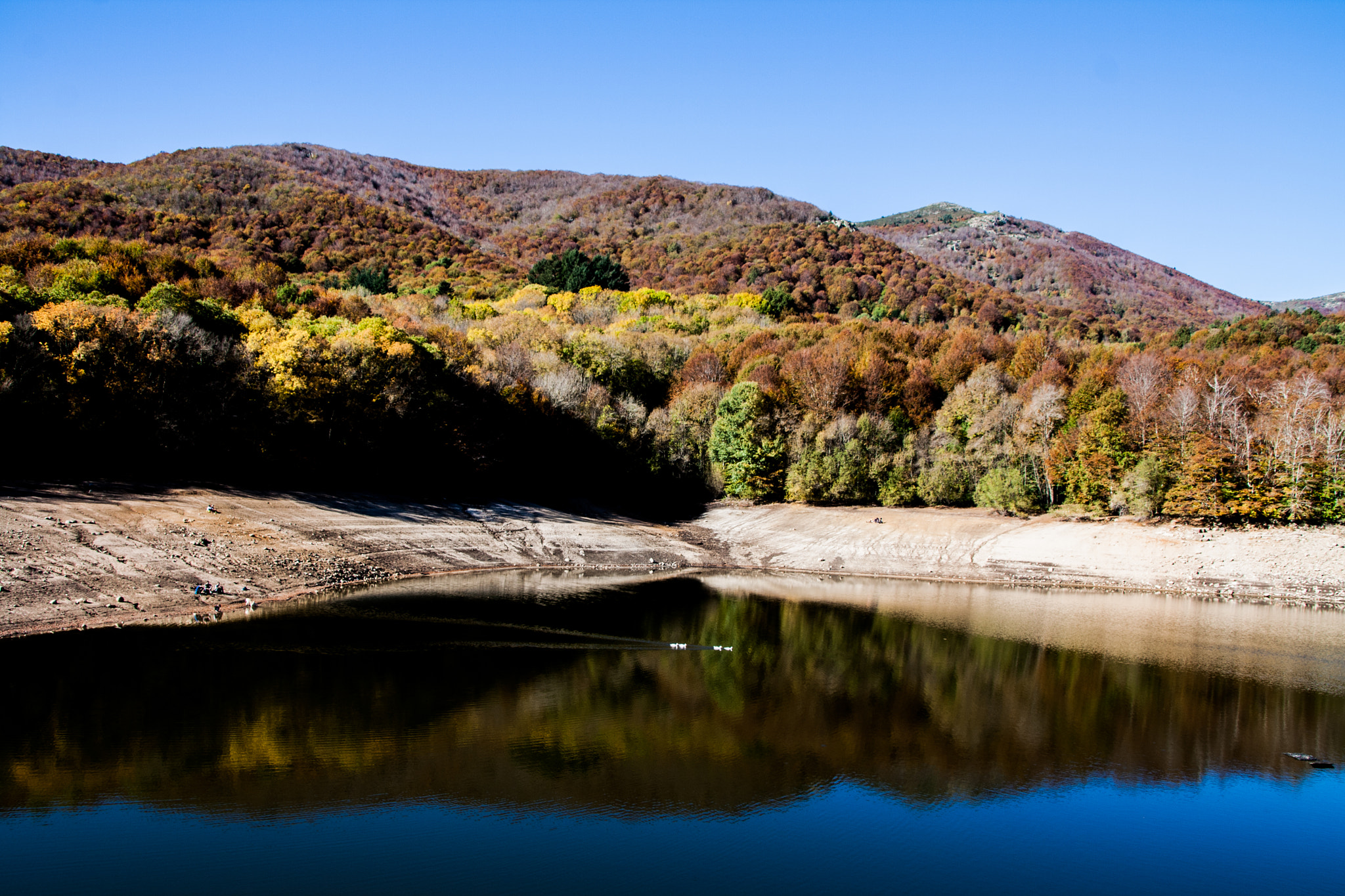 Canon EOS 1000D (EOS Digital Rebel XS / EOS Kiss F) + Canon TS-E 90mm F2.8 Tilt-Shift sample photo. Autumn leaves..* photography