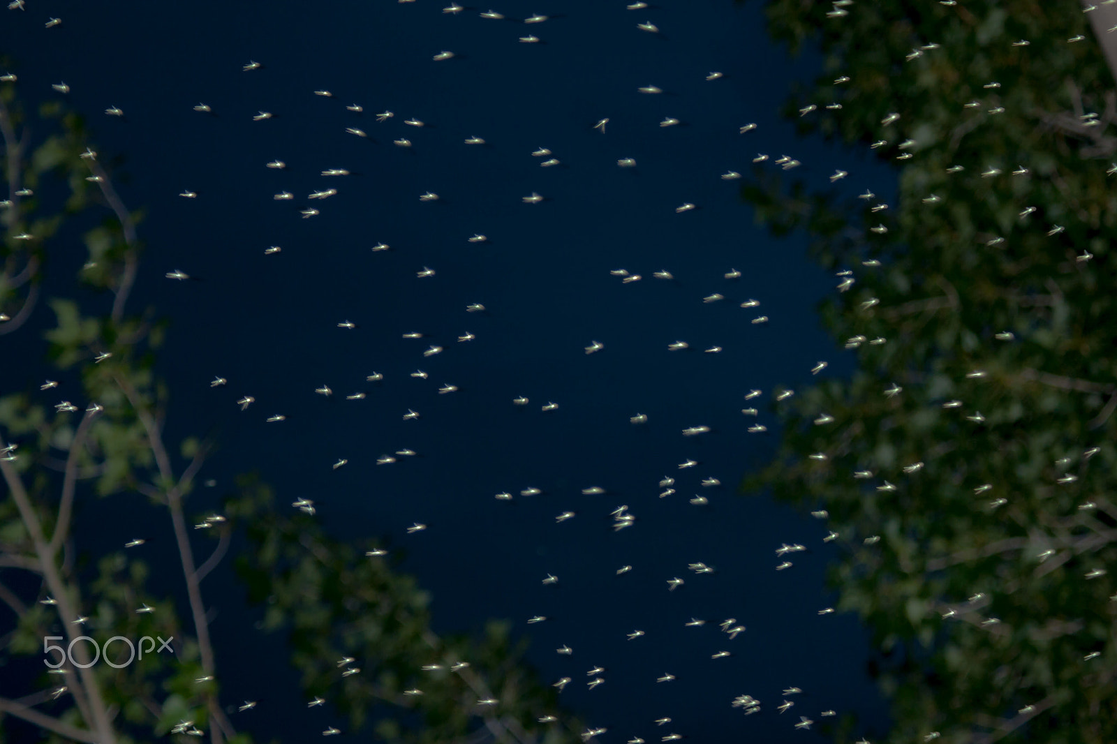 Canon EF 28-90mm f/4-5.6 sample photo. Crowd photography