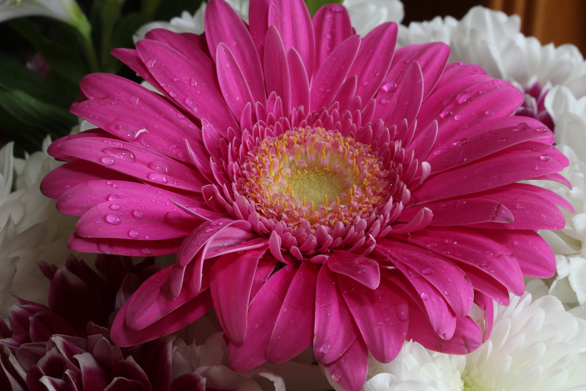 Canon EF 35-80mm f/4-5.6 sample photo