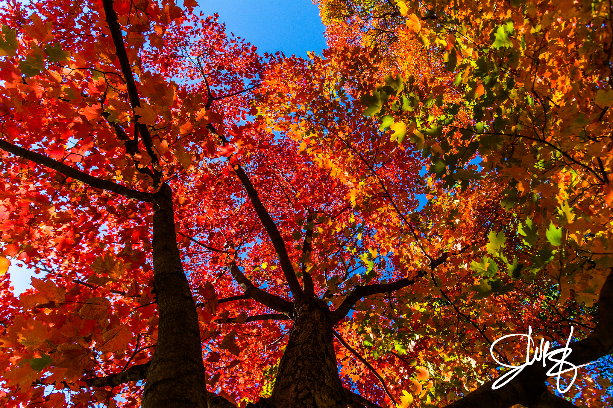 Canon EF 20-35mm f/2.8L sample photo. Img photography