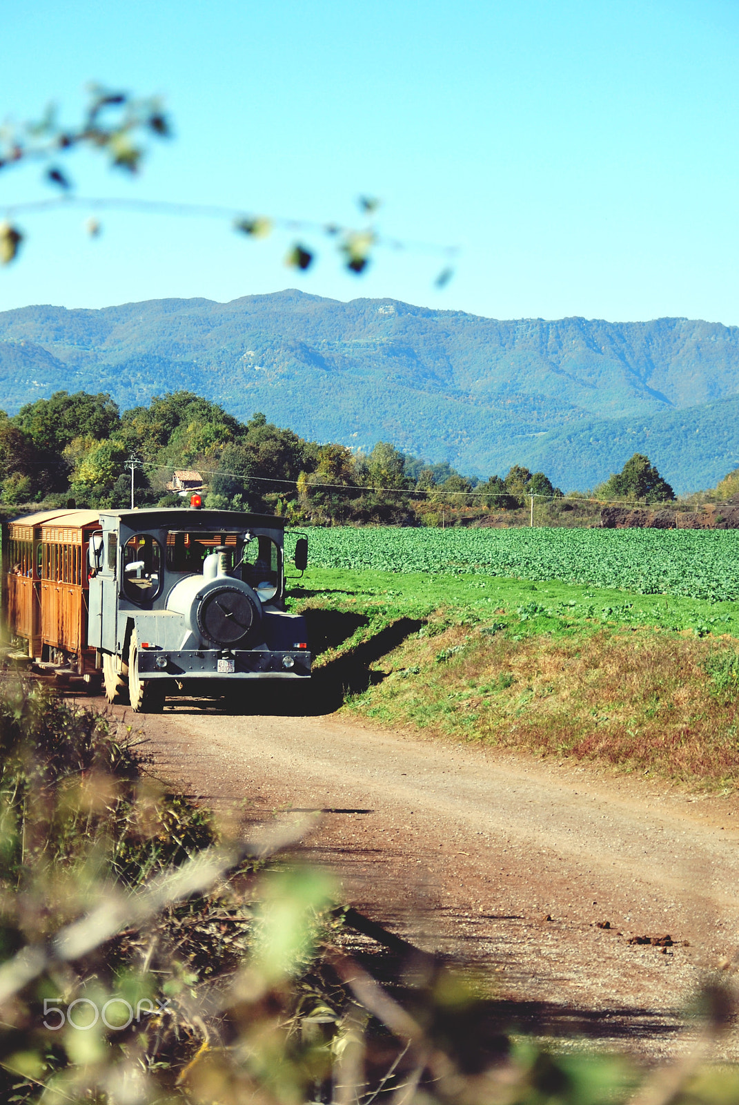 Nikon D60 sample photo. Train photography