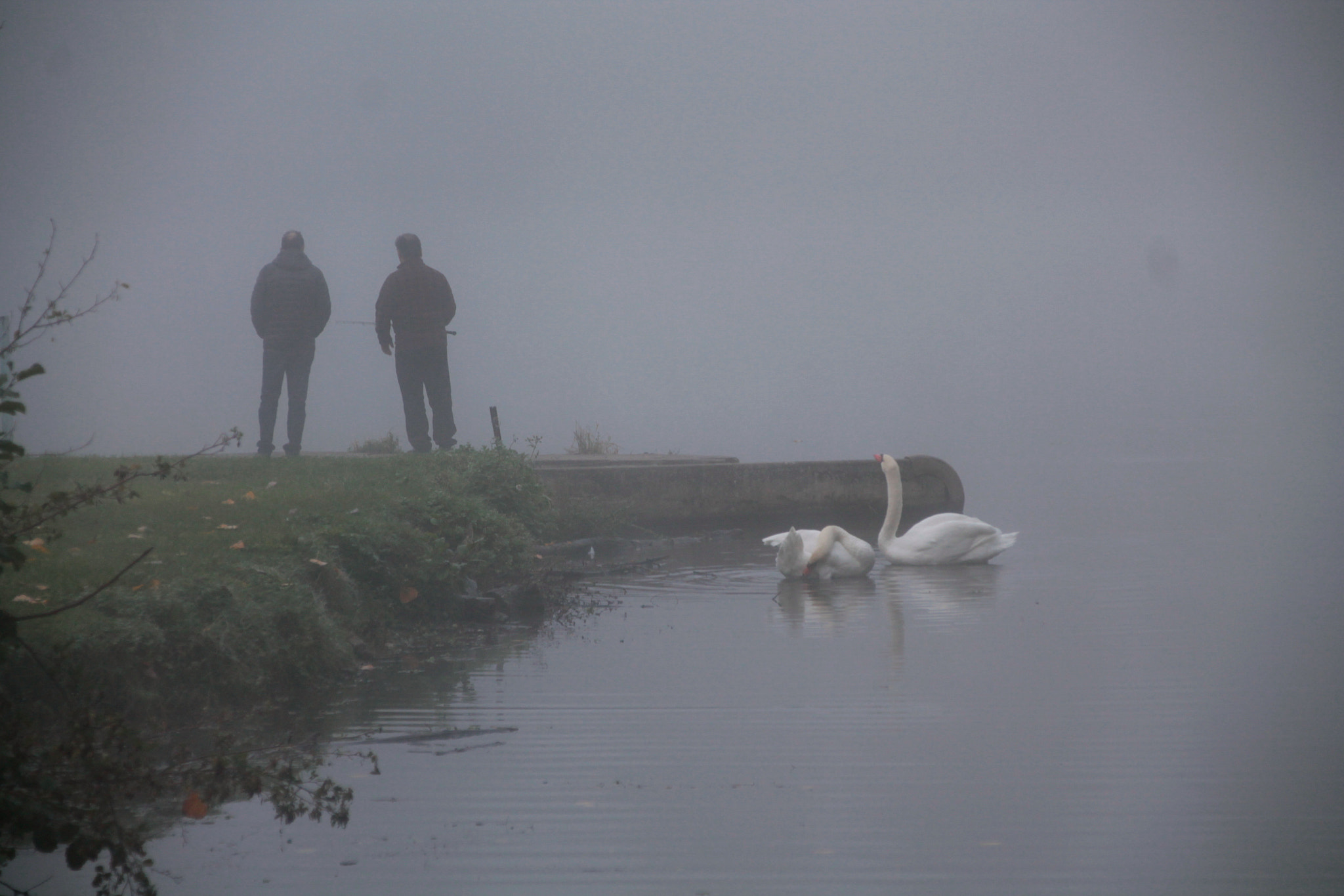 Canon EOS 1100D (EOS Rebel T3 / EOS Kiss X50) + Canon TS-E 90mm F2.8 Tilt-Shift sample photo. Fishermen on a foggy morning photography