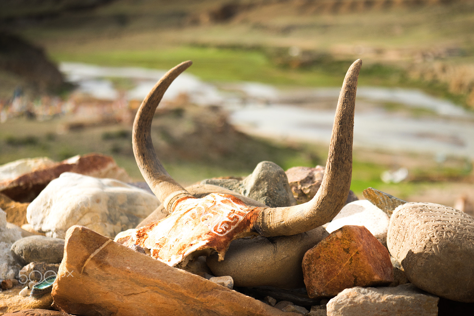Panasonic Lumix DMC-GH4 sample photo. Horn and valley tibet yantra.lv photography
