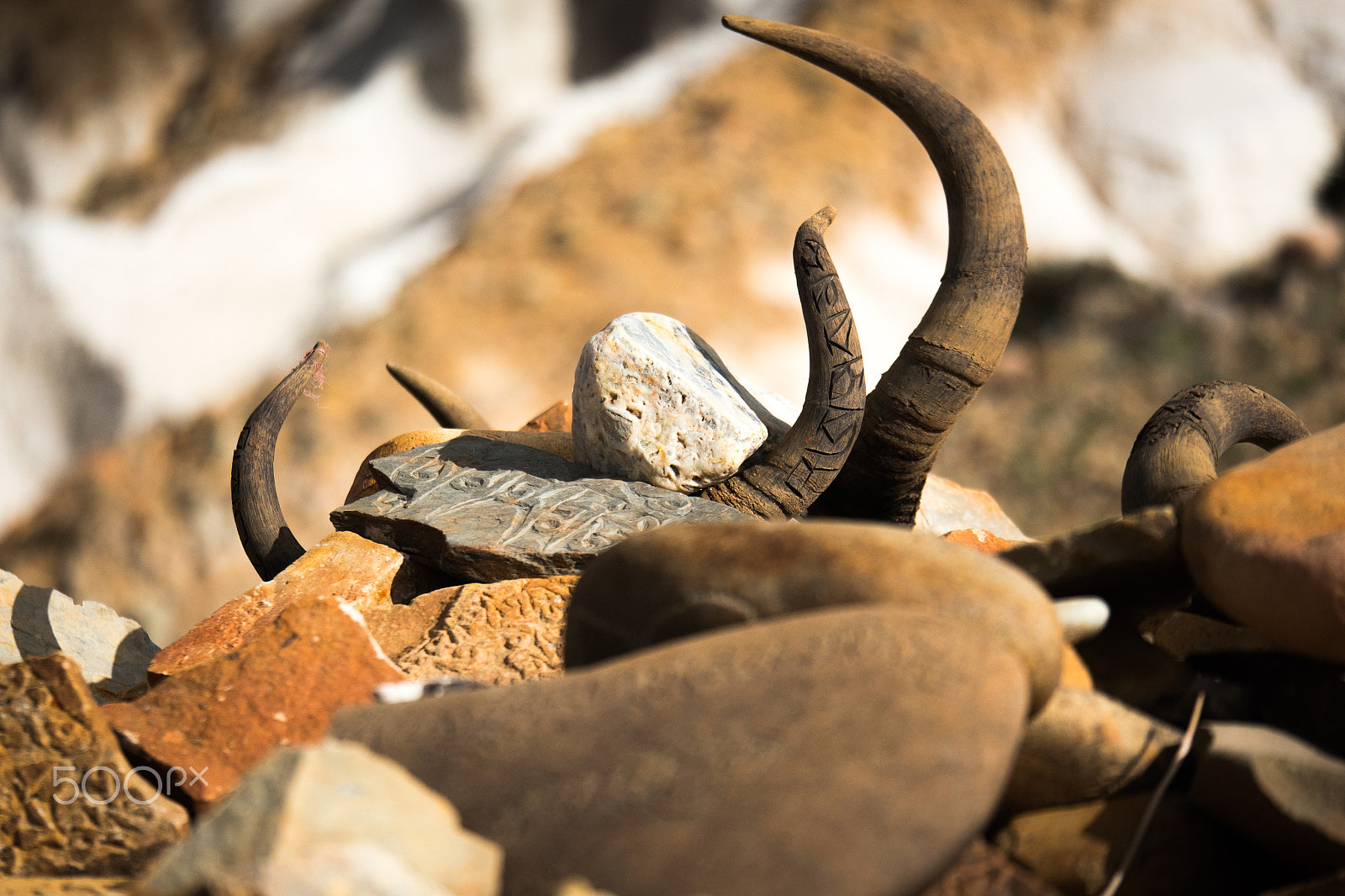 Panasonic Lumix G X Vario 35-100mm F2.8 OIS sample photo. Horn and valley tibet yantra.lv photography
