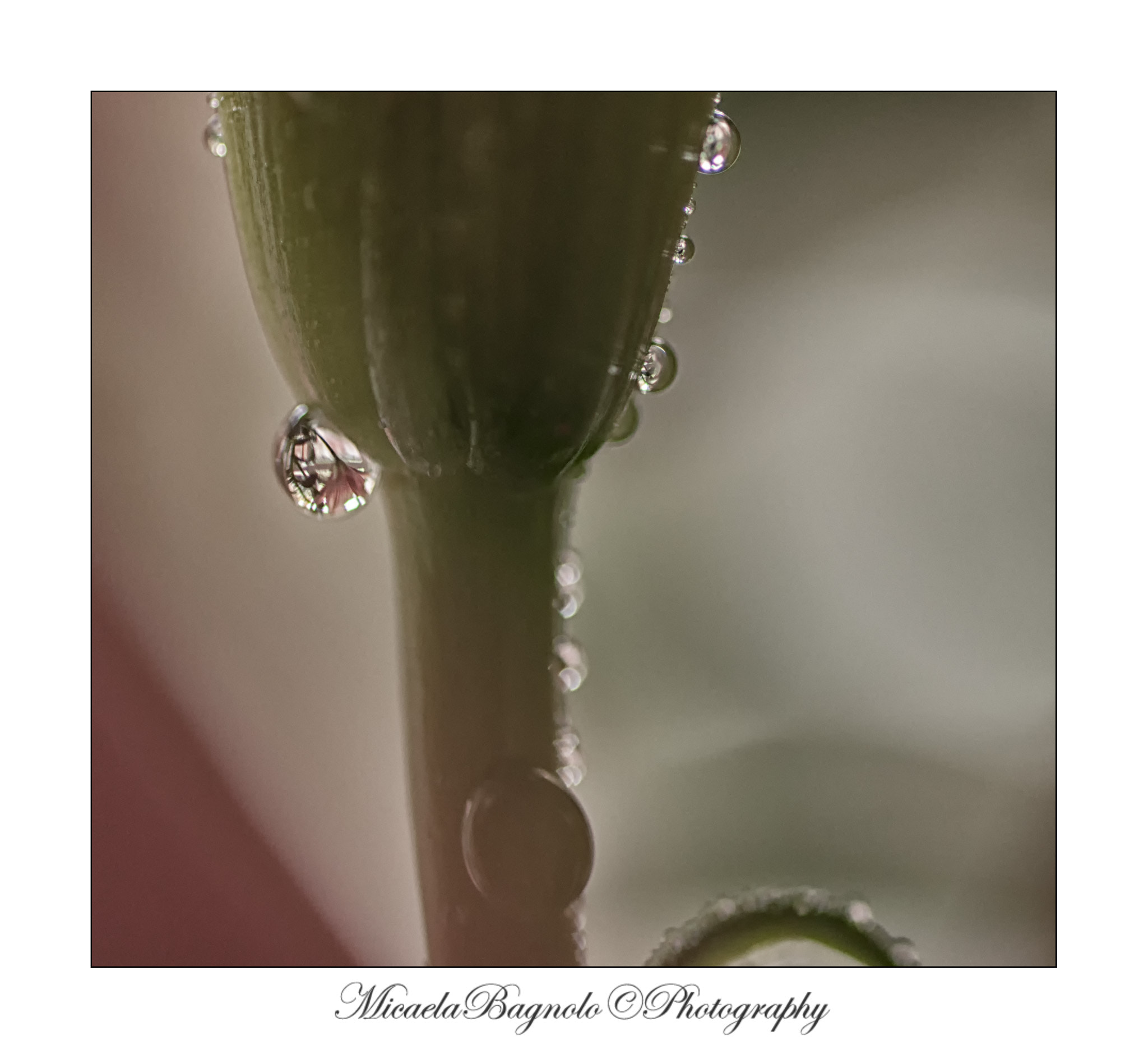 Nikon D5000 sample photo. Riflessi photography