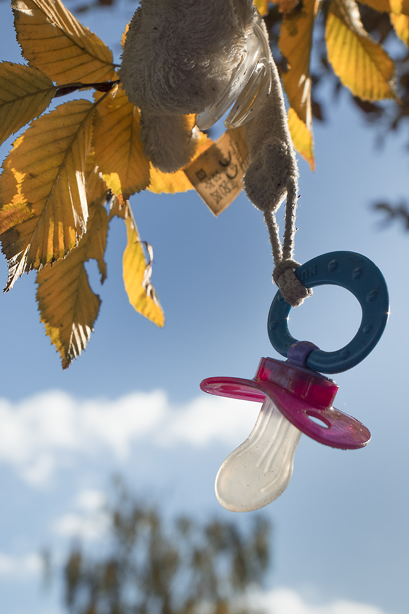 Olympus PEN-F sample photo. Autumn calls for victims ... photography