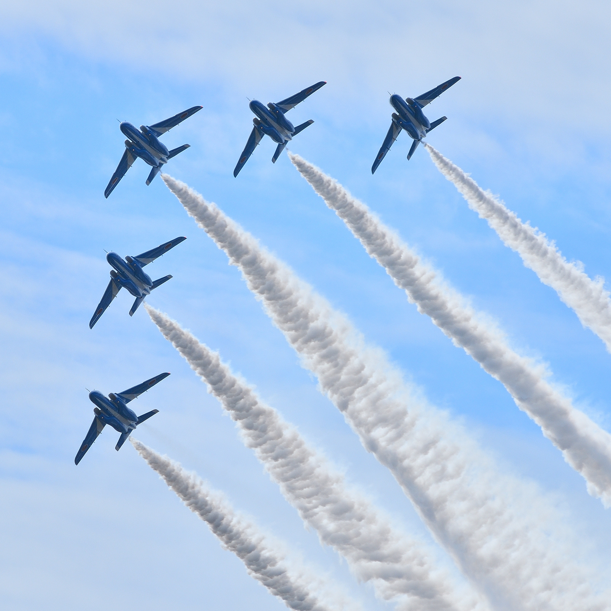 Nikon AF-S Nikkor 200-500mm F5.6E ED VR sample photo. Blue impulse photography
