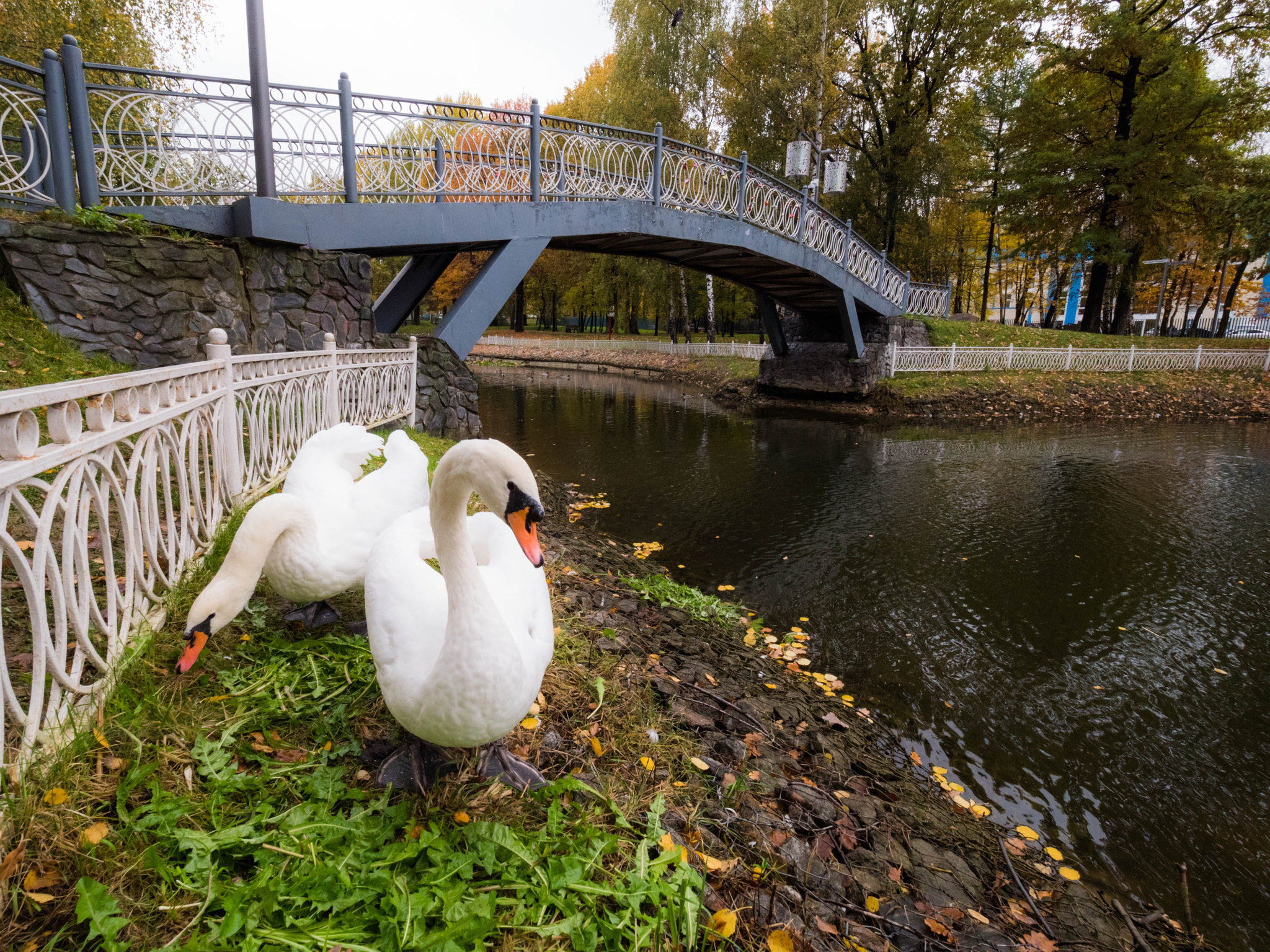 Panasonic Lumix DMC-GH4 + Olympus M.Zuiko Digital ED 7-14mm F2.8 PRO sample photo. Sitting near the bridge photography