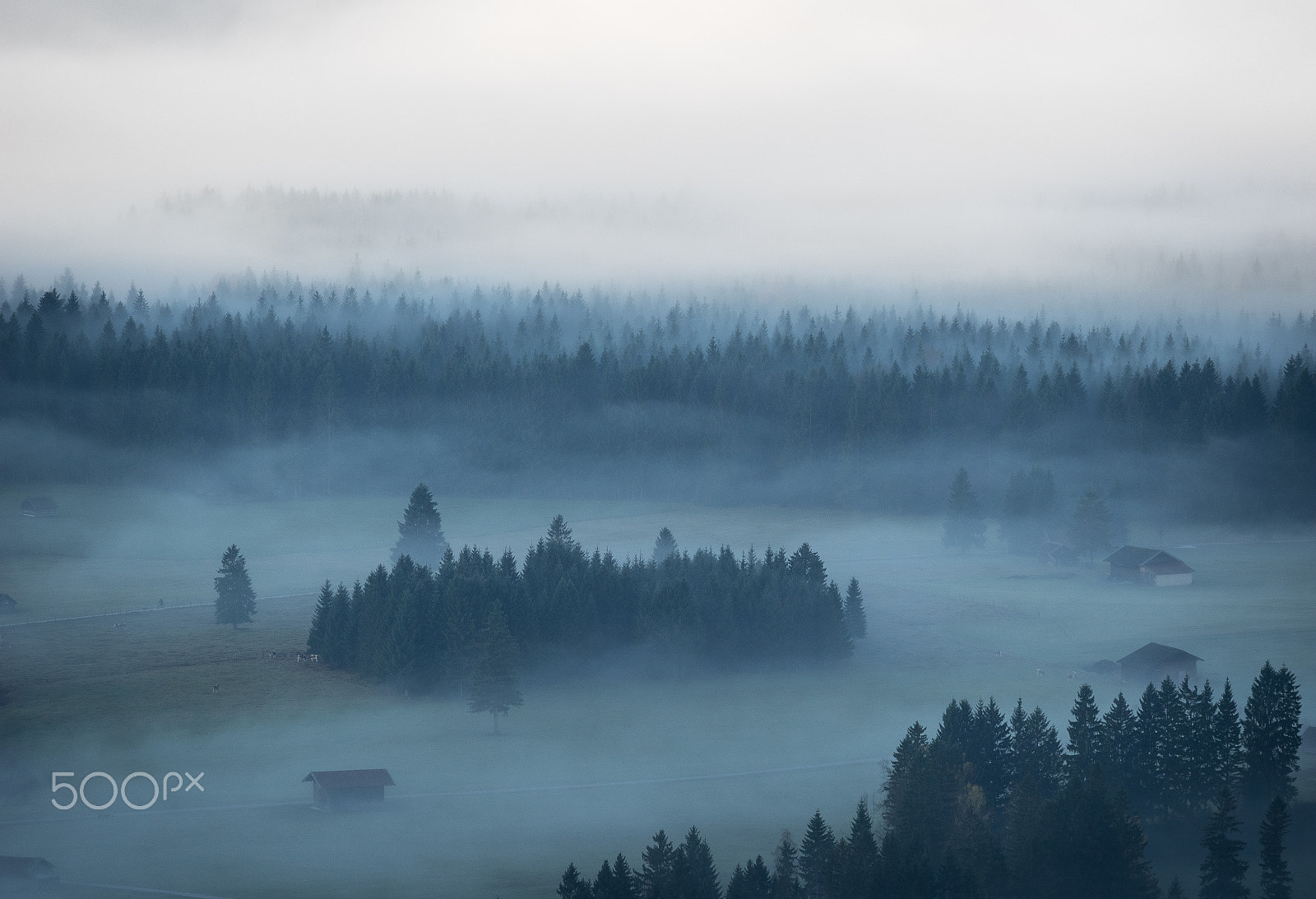 Olympus OM-D E-M1 sample photo. Fog and mist photography