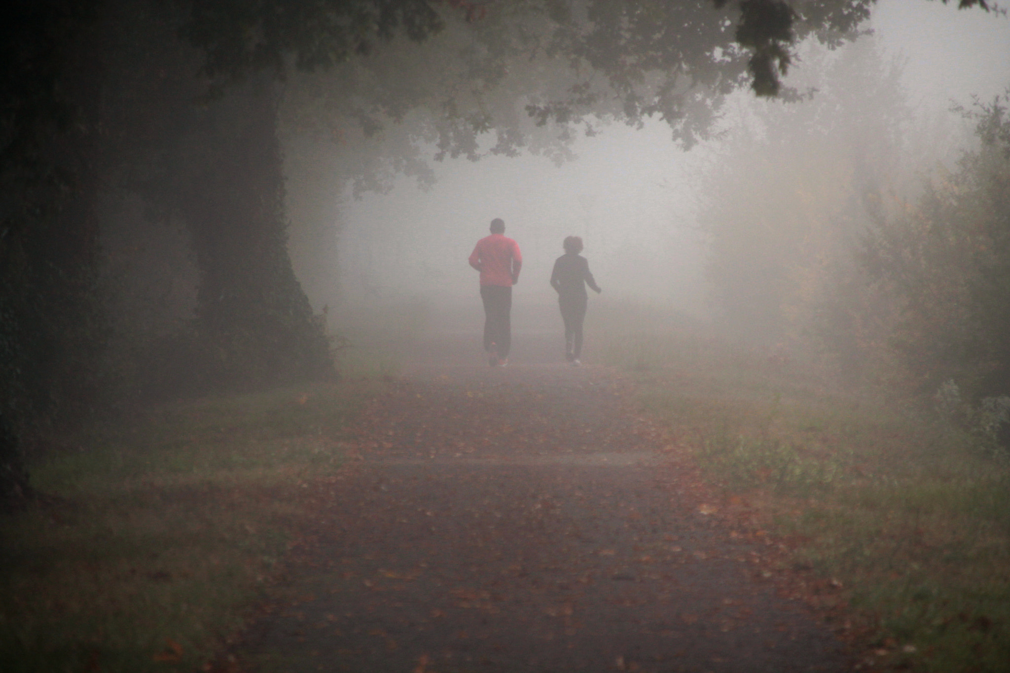 Canon EOS 1100D (EOS Rebel T3 / EOS Kiss X50) + Canon TS-E 90mm F2.8 Tilt-Shift sample photo. Joggers in the fog photography