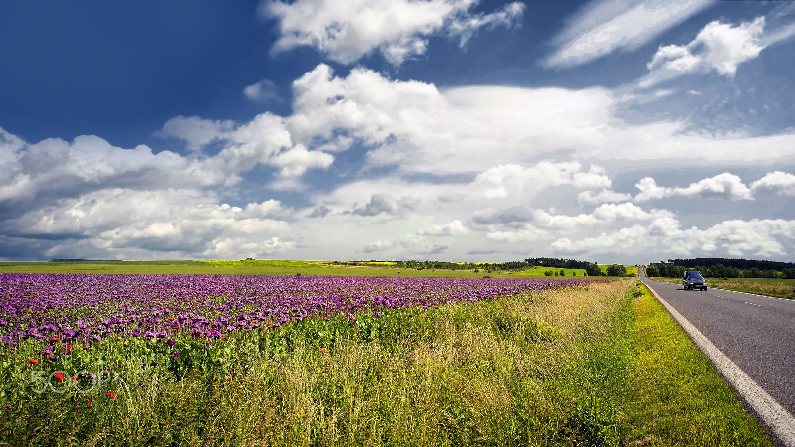 Sigma 12-24mm F4.5-5.6 EX DG Aspherical HSM sample photo. Afyon tarlası (opium field) ve yol.... photography