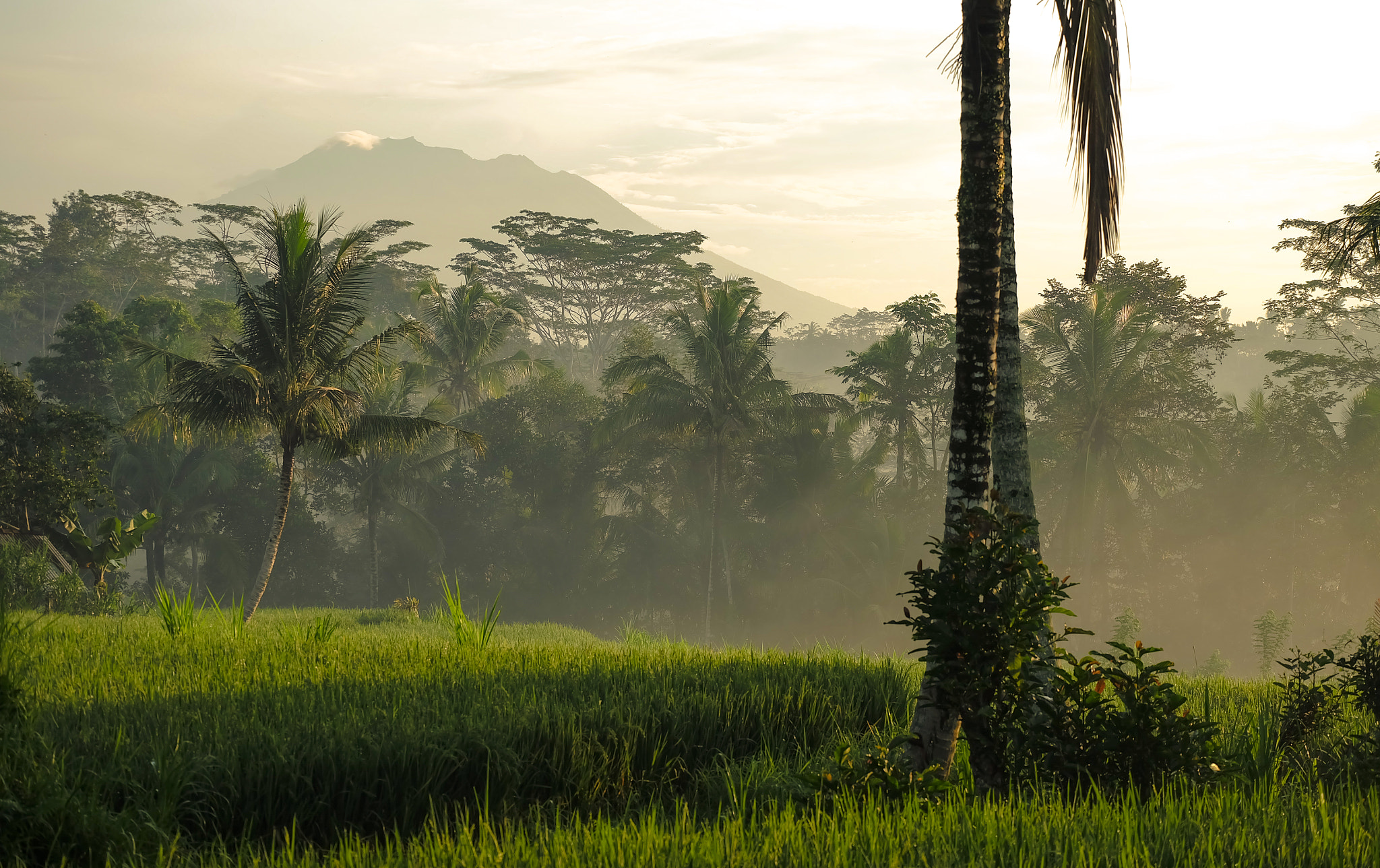 Fujifilm X-A2 + Fujifilm XC 50-230mm F4.5-6.7 OIS sample photo. Morning view photography