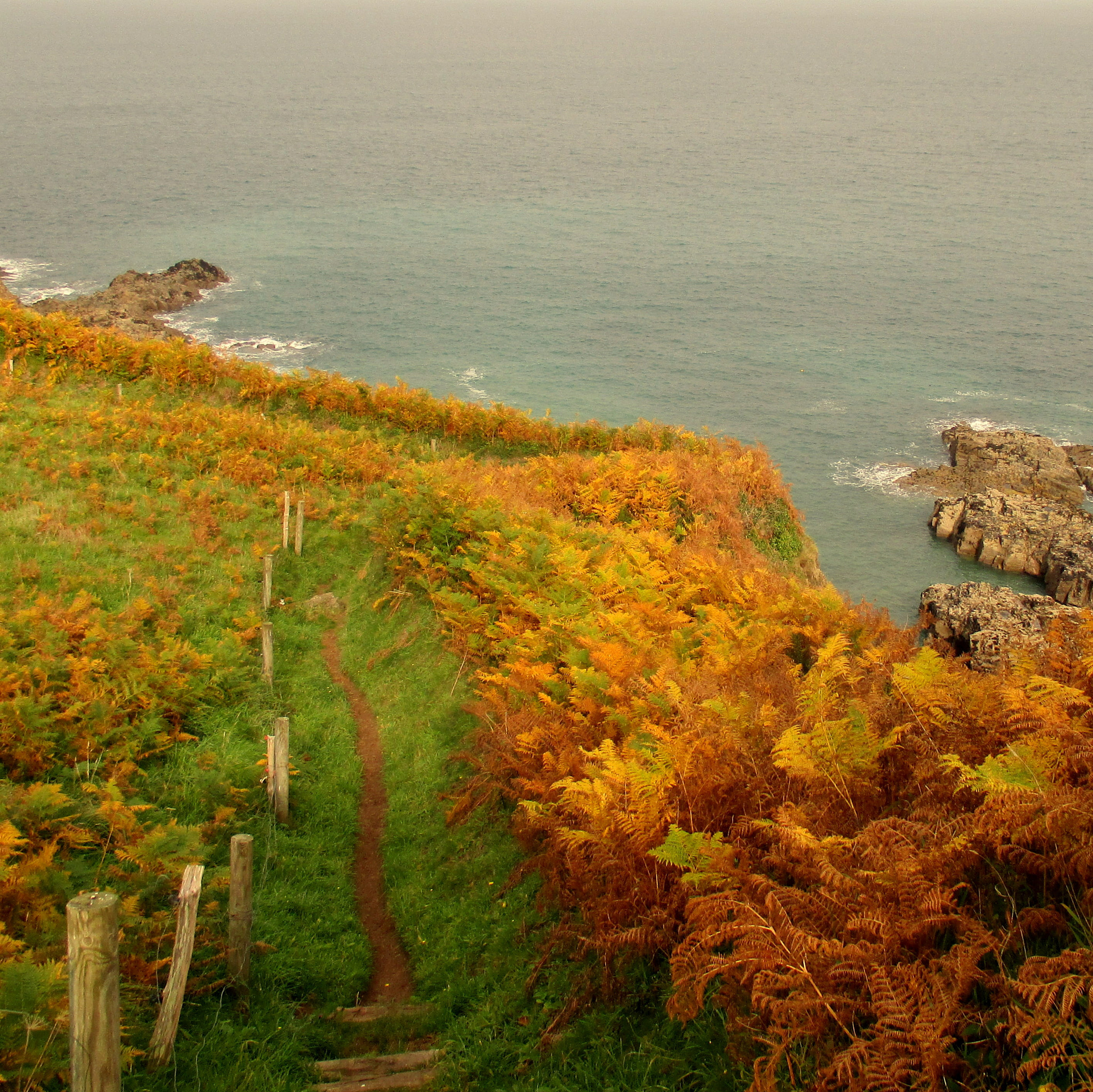 Canon PowerShot ELPH 135 (IXUS 145 / IXY 120) sample photo. Coastal path photography