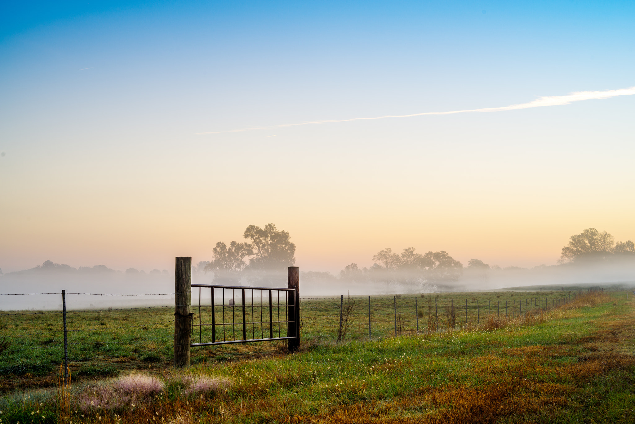 Pentax K-1 sample photo. Morning fog in south carolina photography