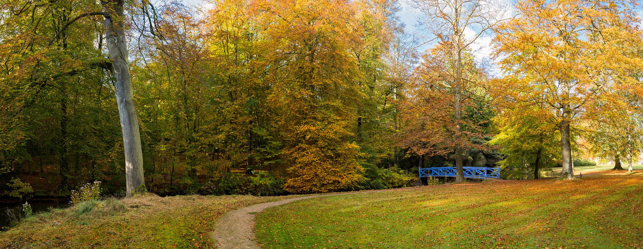 Panasonic Lumix DMC-GX8 sample photo. Bridge to autumn photography