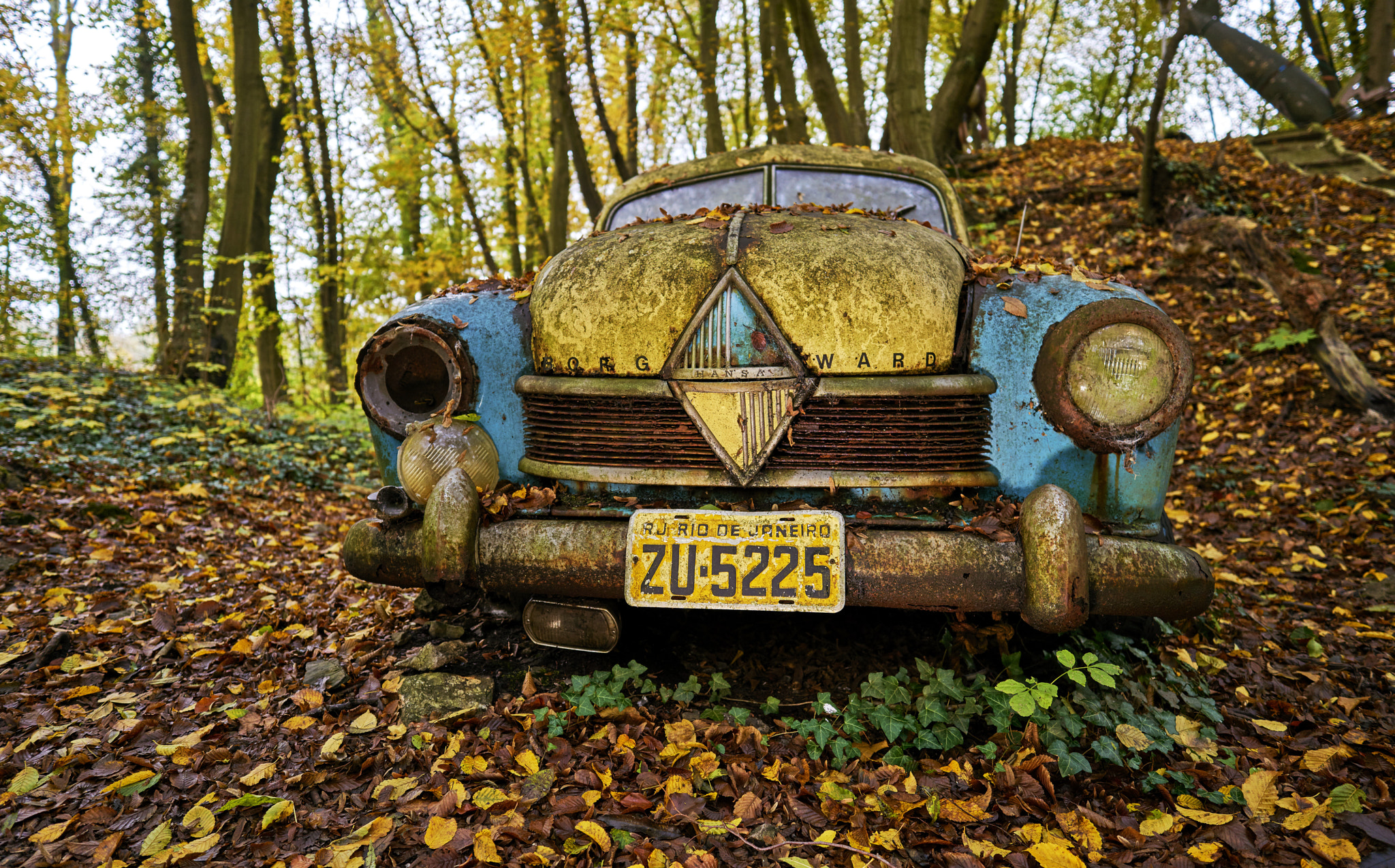 ZEISS Loxia 21mm F2.8 sample photo. Borgward photography