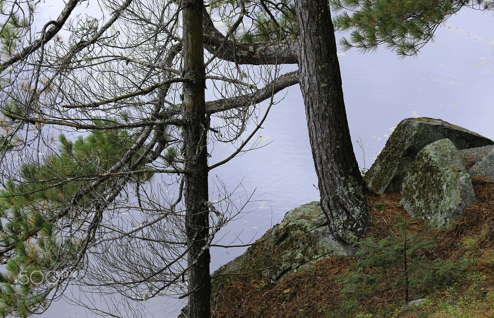 Canon EF 70-200mm F4L IS USM sample photo. Water's edge -algonquin provincial park photography