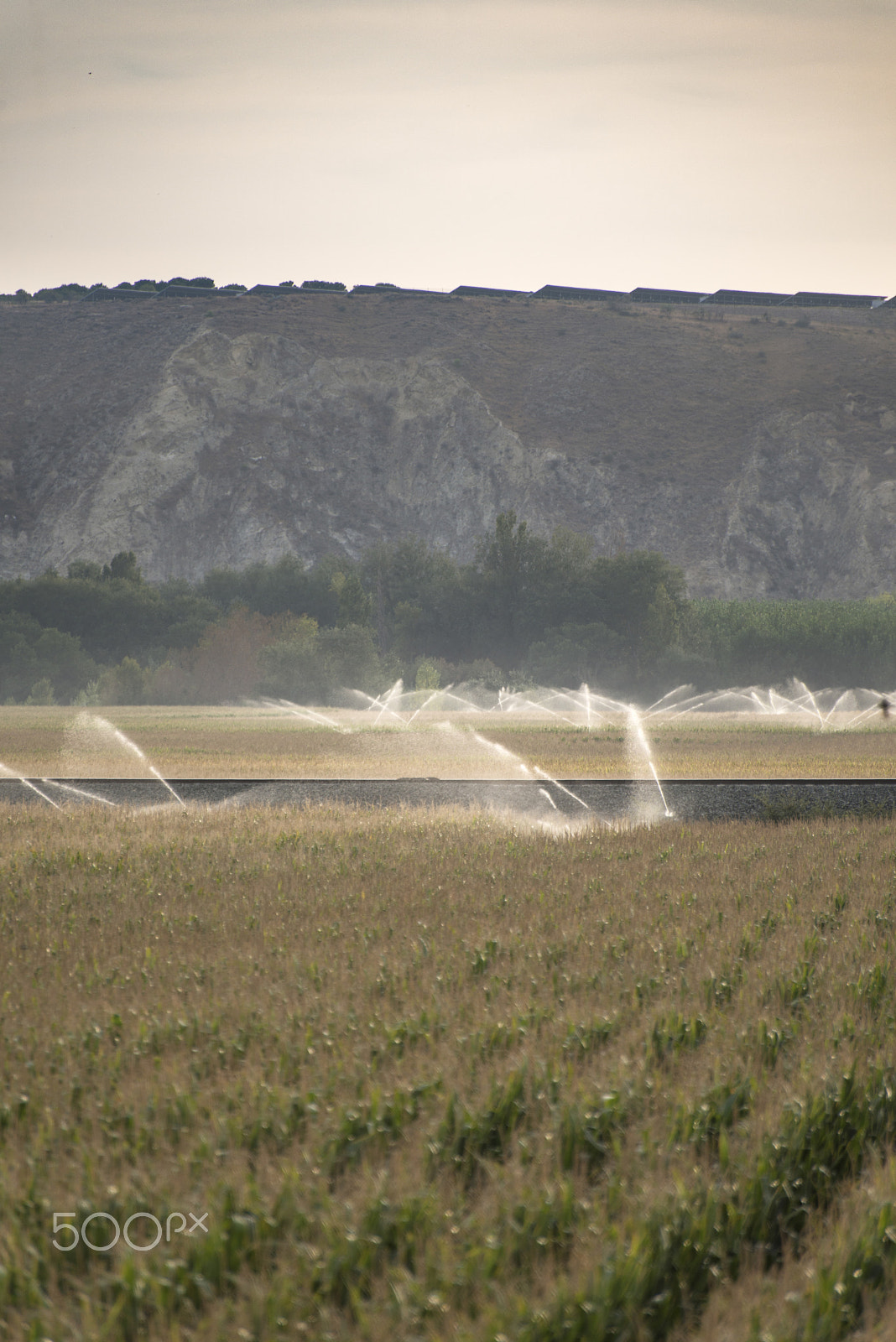 Nikon D800E + Nikon AF-S Nikkor 70-300mm F4.5-5.6G VR sample photo. Watering systems and corn photography