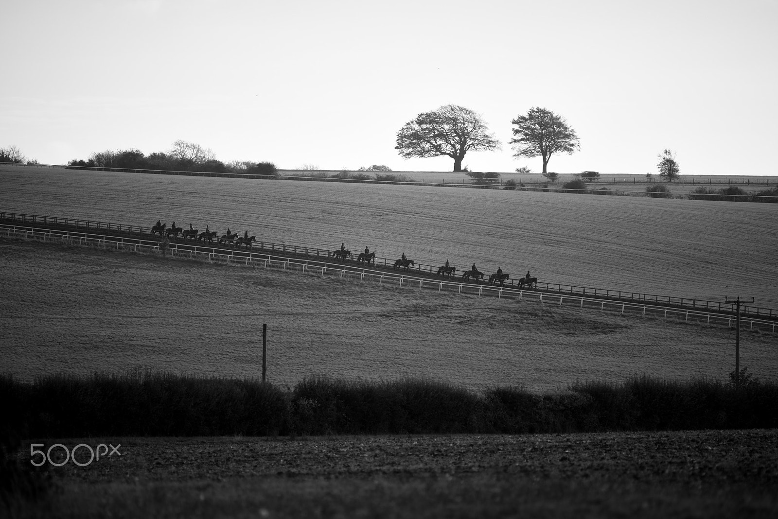 Nikon Nikkor AF-S 300mm F4E PF ED VR sample photo. Returning strings - upper lambourn photography