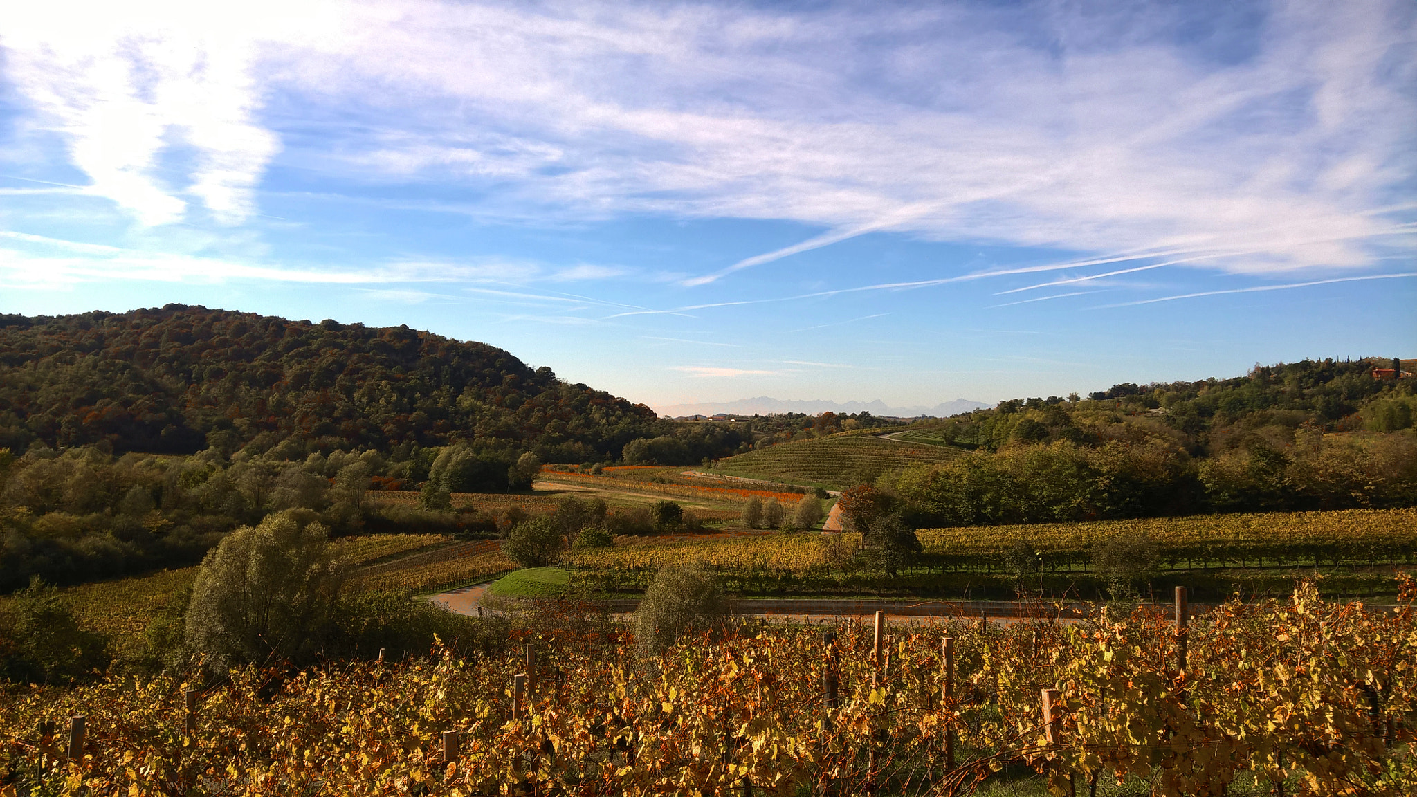 Microsoft Lumia 640 XL sample photo. Collio photography