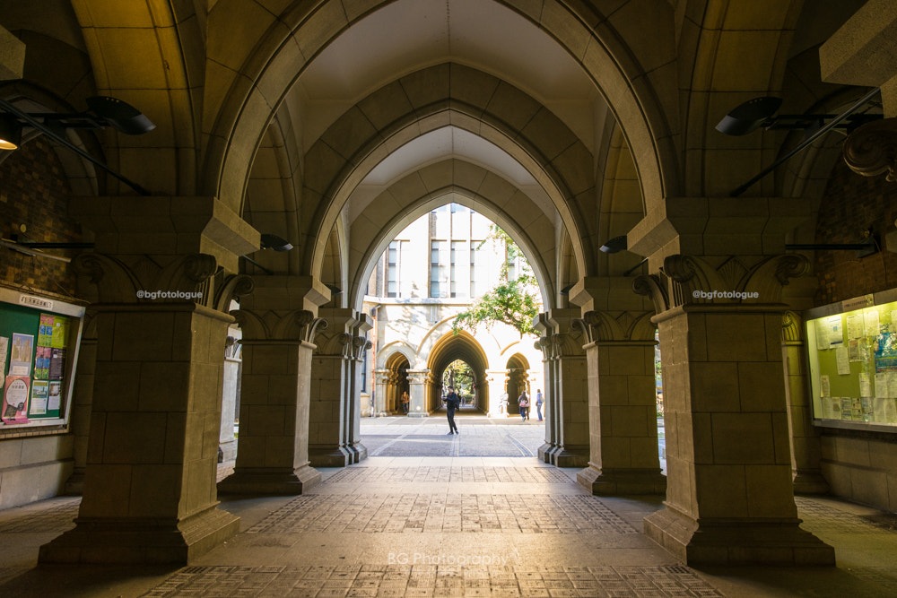 Sony a7 + Canon EF 85mm F1.2L II USM sample photo. 東京大学. photography