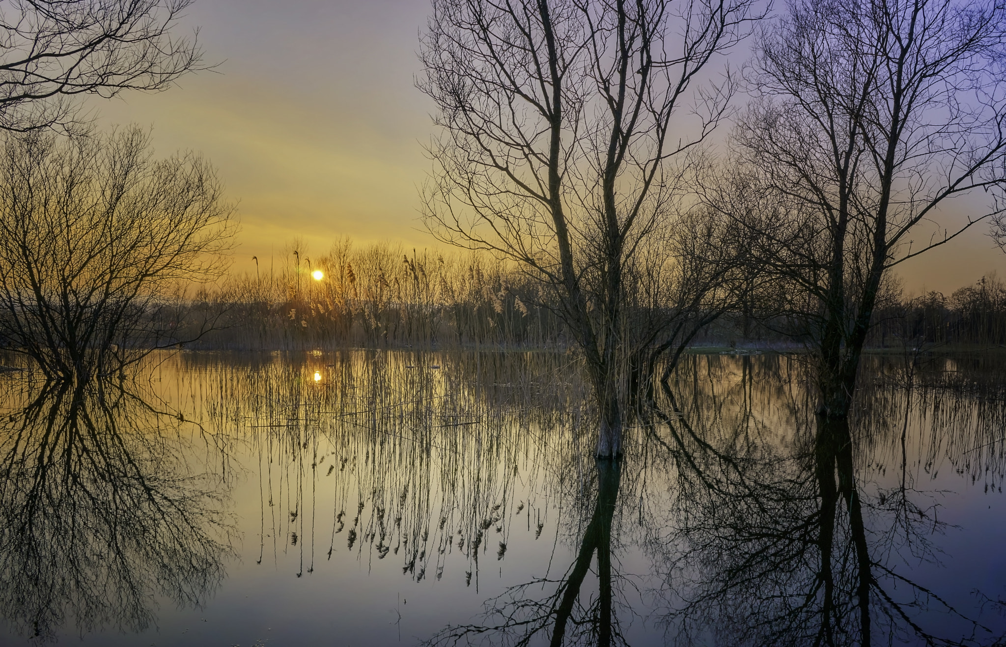 FE 21mm F2.8 sample photo. Winter sunset, llangorse lake photography