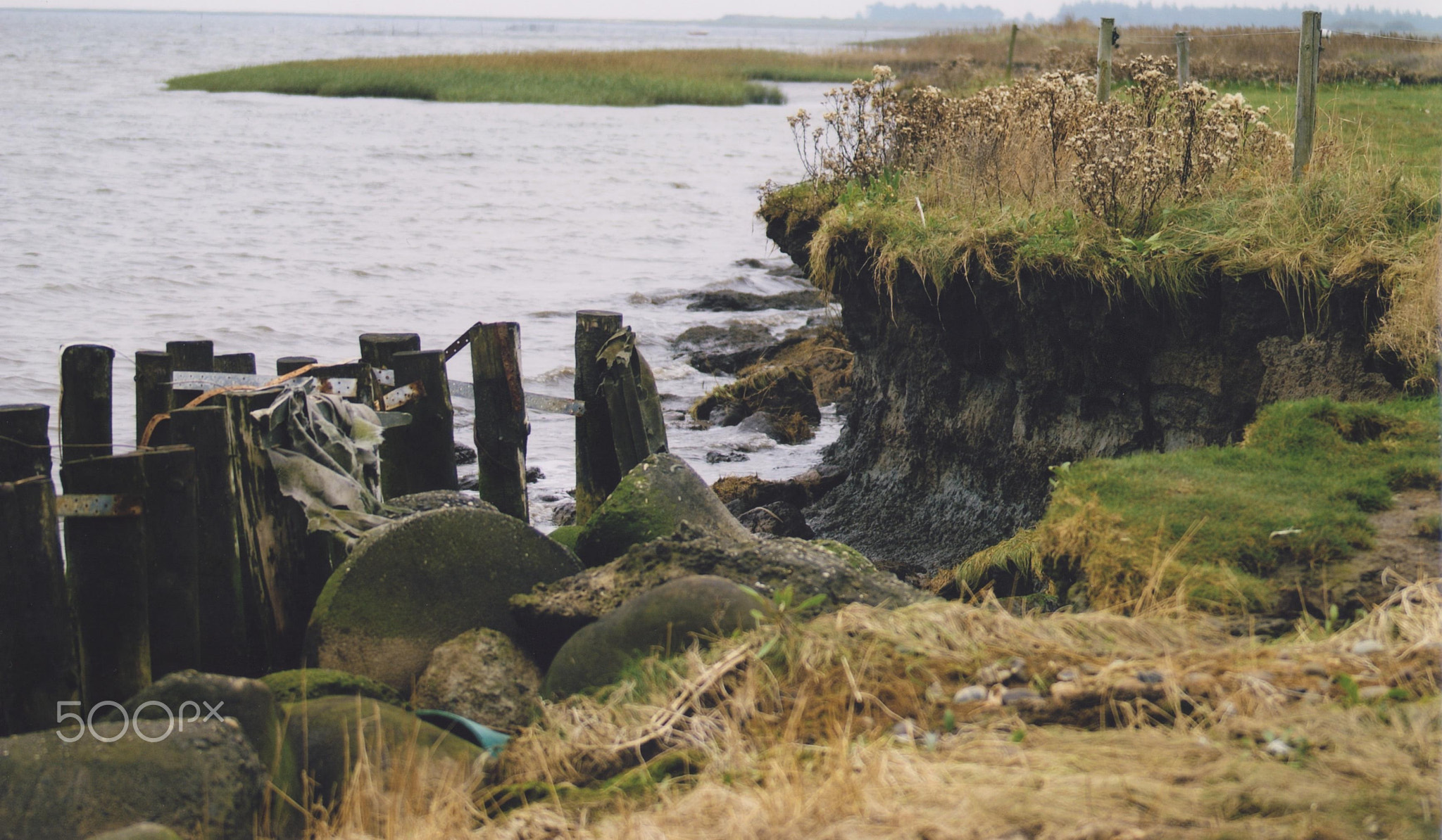 The power of the Waves