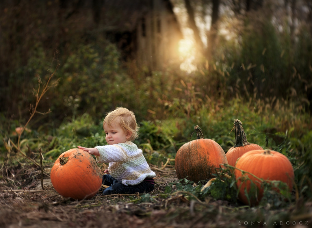 Nikon D700 sample photo. The pumpkin patch photography