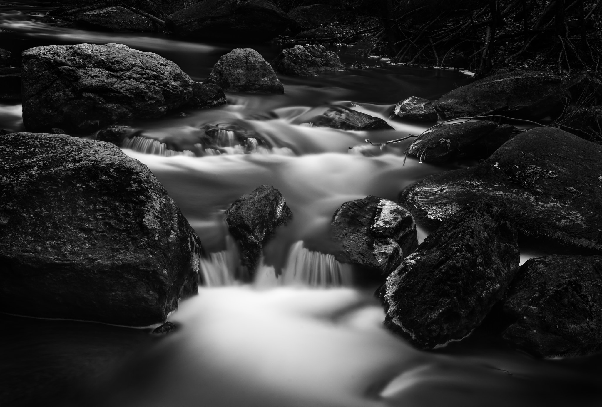 Nikon D200 sample photo. Cotton hollow photography