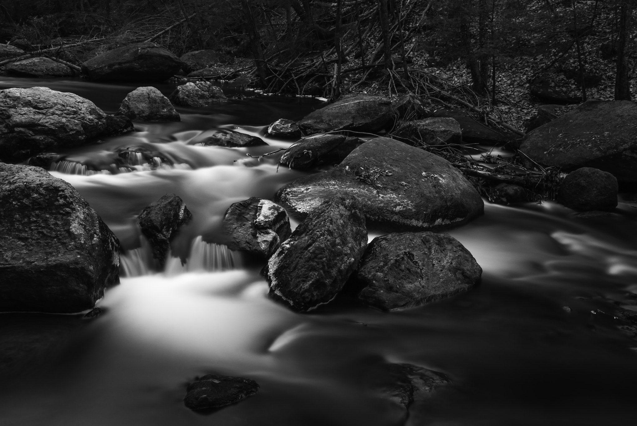 Nikon D200 sample photo. Cotton hollow photography