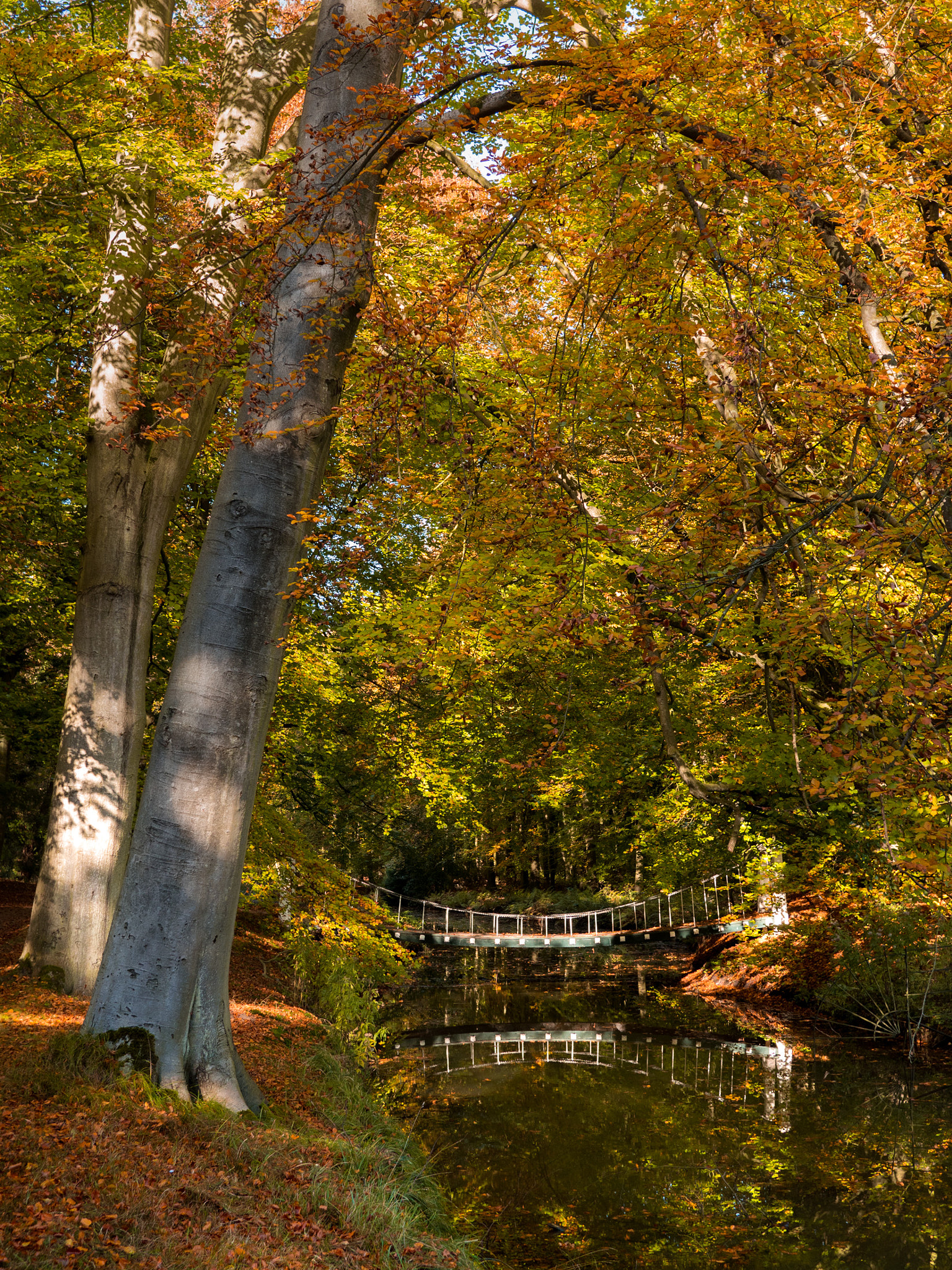 Panasonic Lumix DMC-GX8 sample photo. Bridge to autumn ii photography