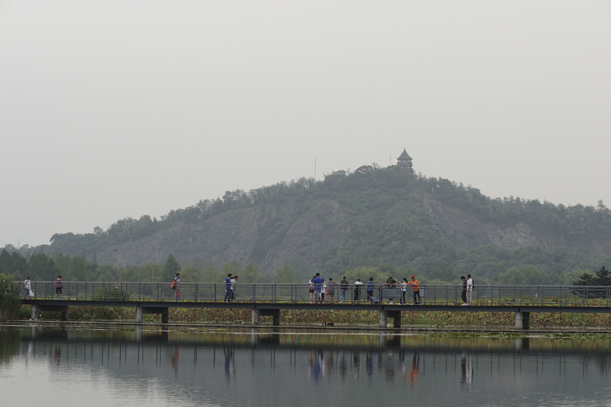 Sony a7 + Canon EF 85mm F1.8 USM sample photo