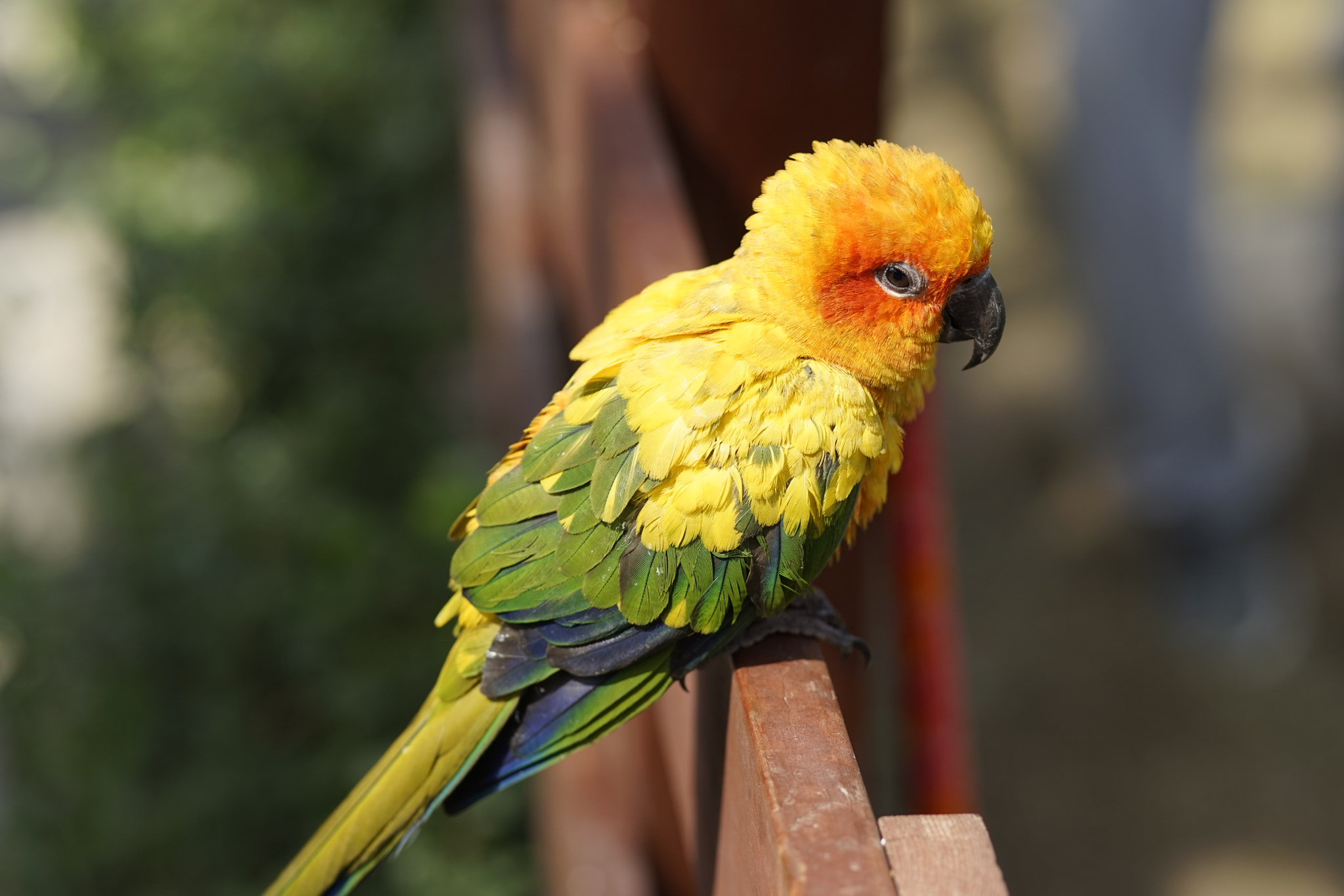Sony a7 + Canon EF 85mm F1.8 USM sample photo