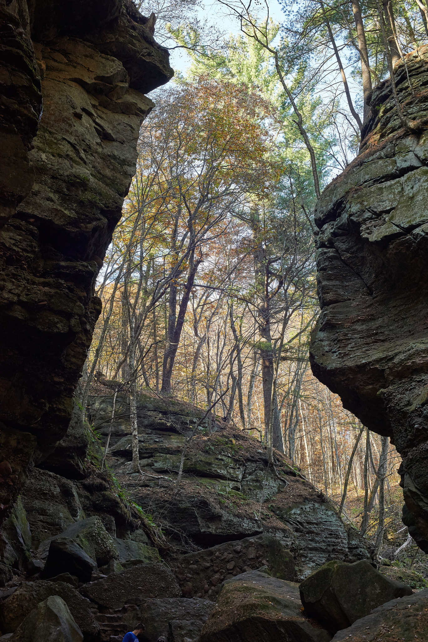 Nikon AF Nikkor 50mm F1.4D sample photo. Parfrey's glen photography