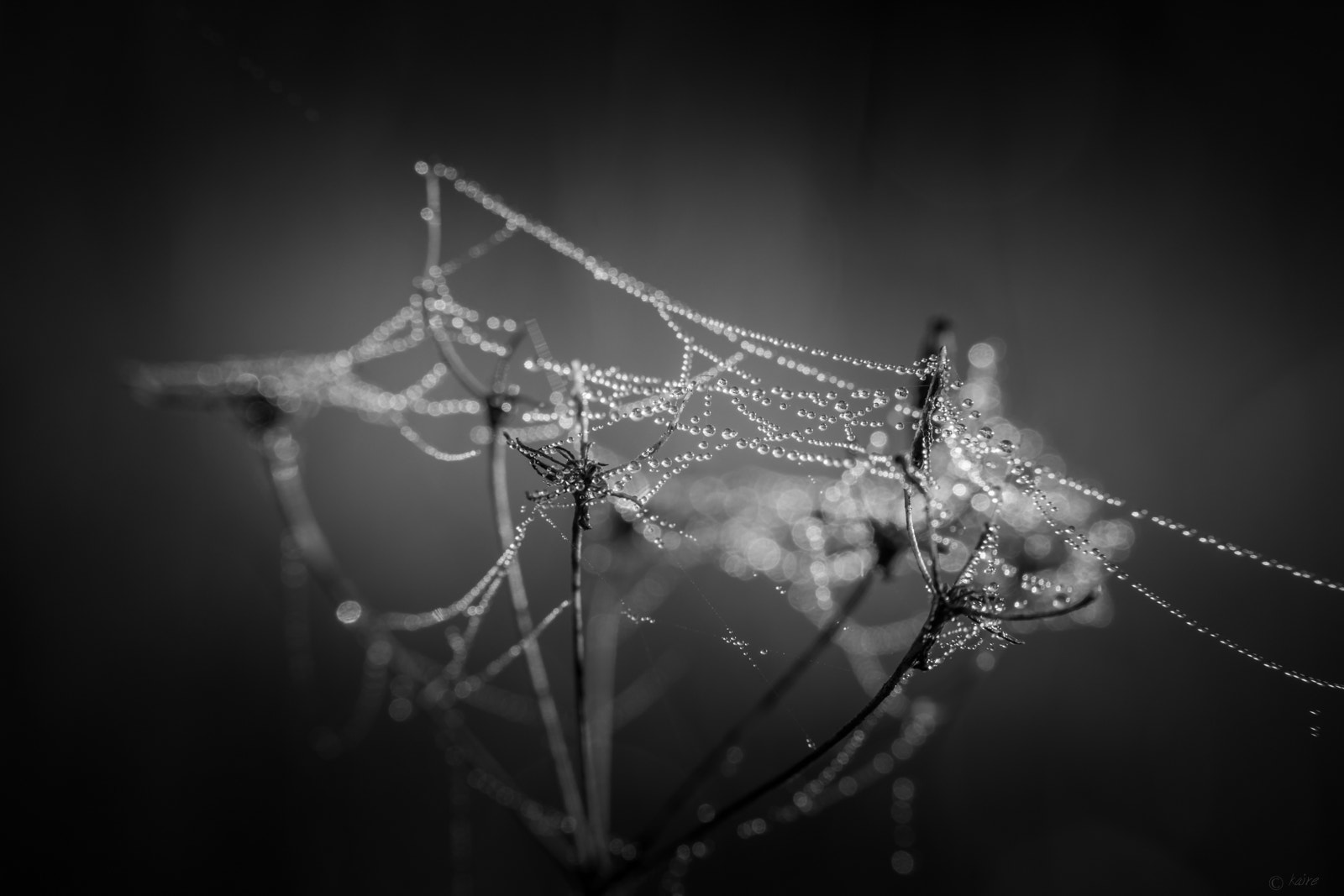 Sony SLT-A77 + Tamron AF 55-200mm F4-5.6 Di II LD Macro sample photo. Playing with the misty strings :) photography