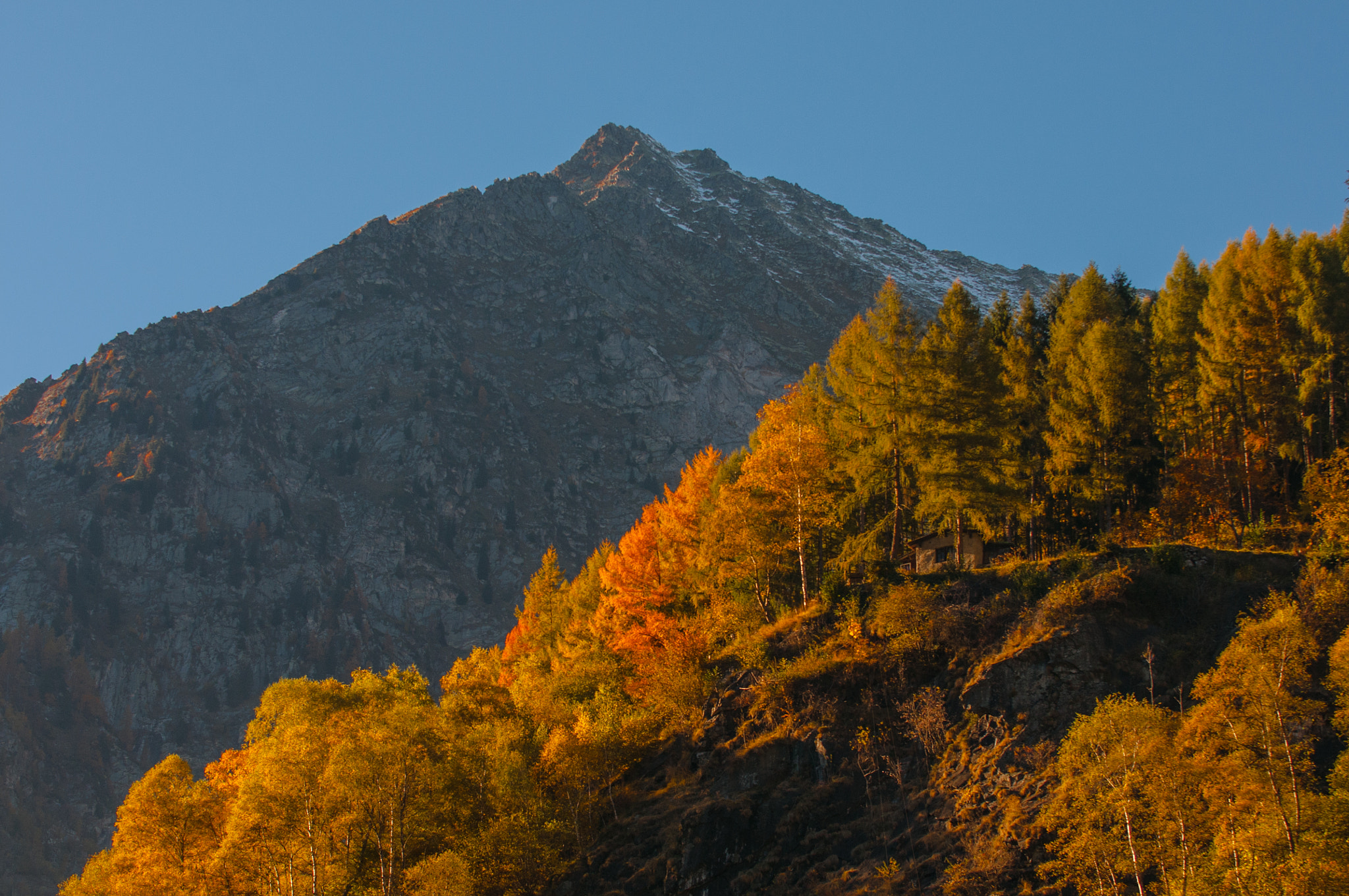 Nikon D300S sample photo. Autumn photography