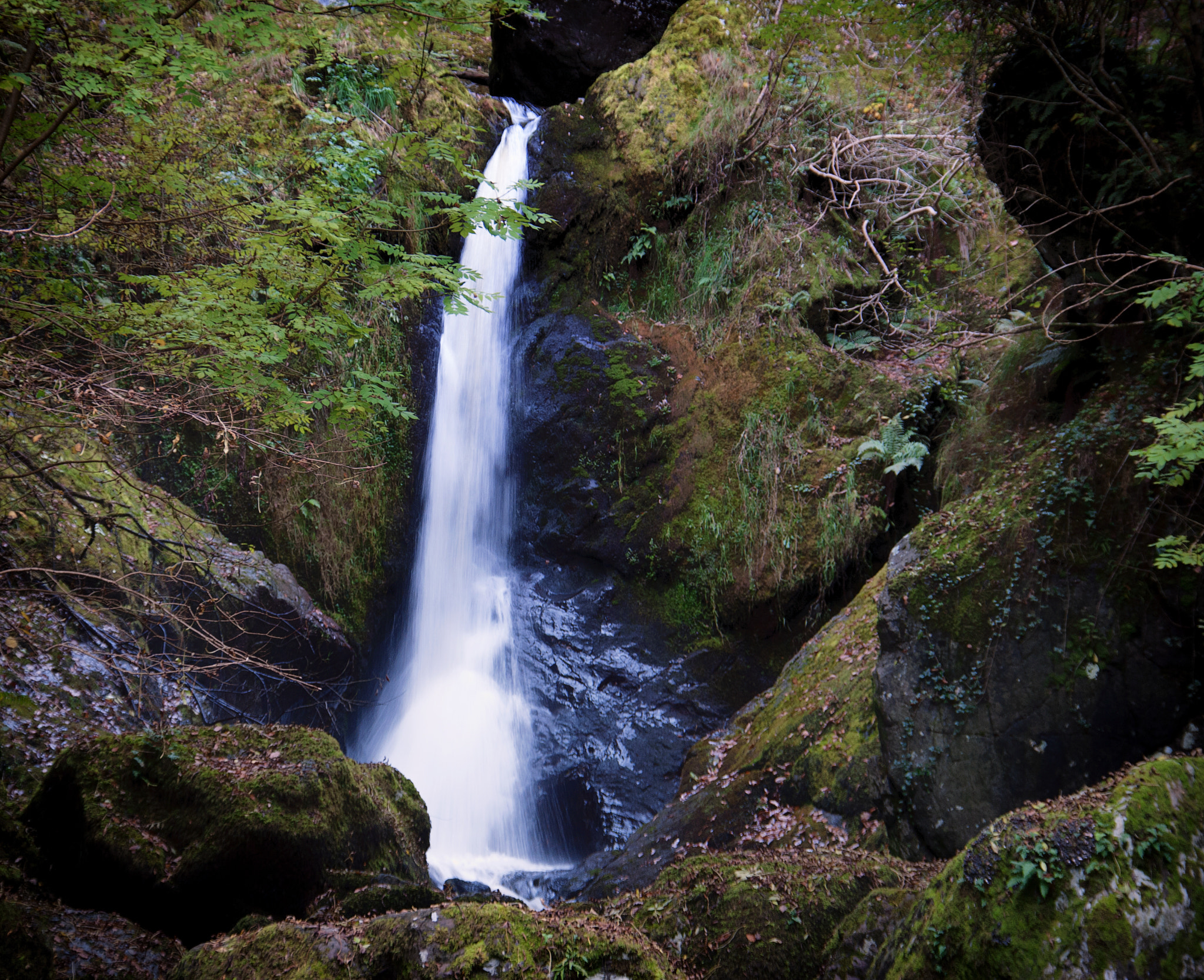 Nikon D60 + Sigma 18-200mm F3.5-6.3 DC OS HSM sample photo. Devils glen waterfall photography