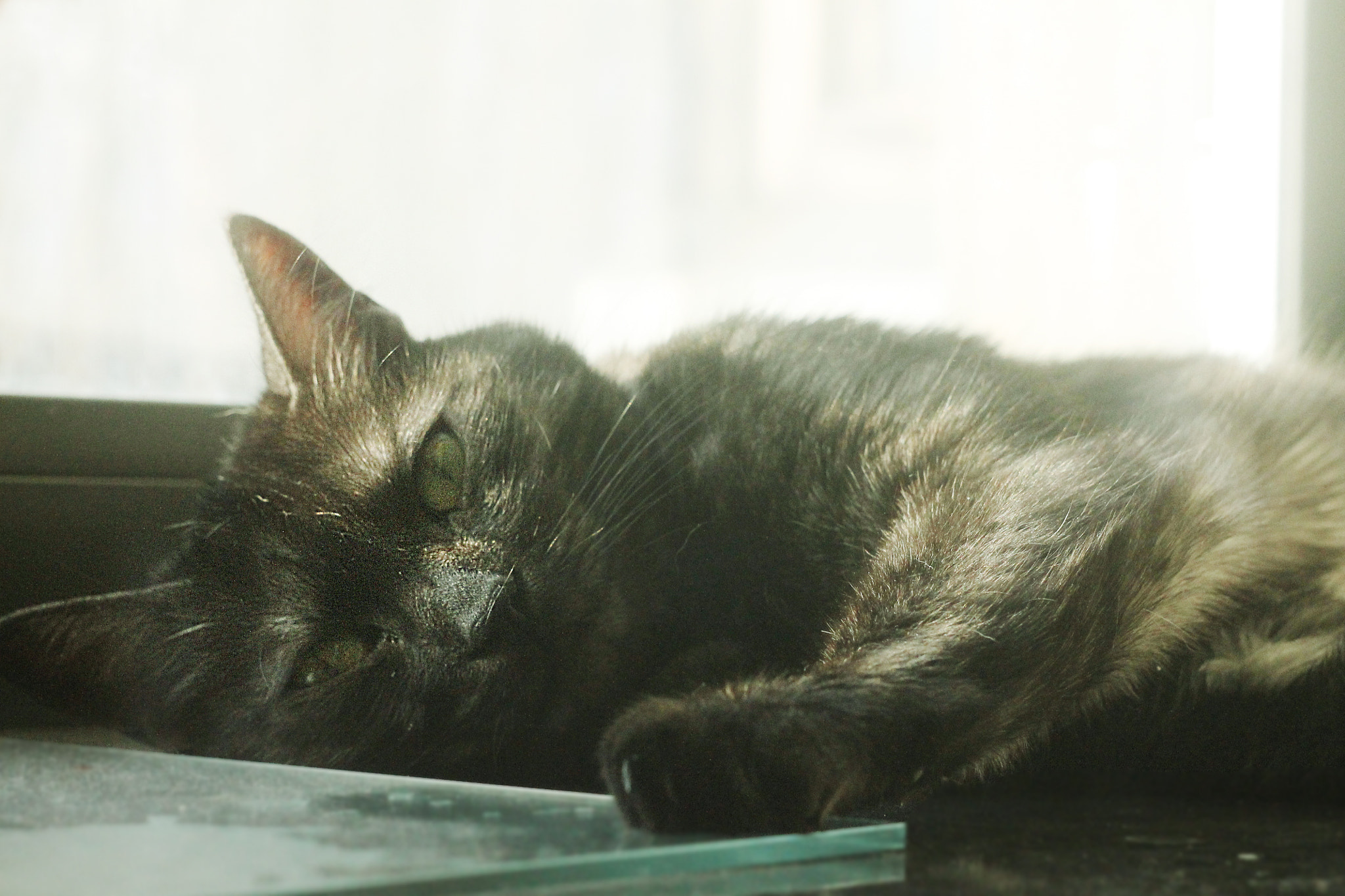 Canon EF 35-80mm f/4-5.6 sample photo. Img photography