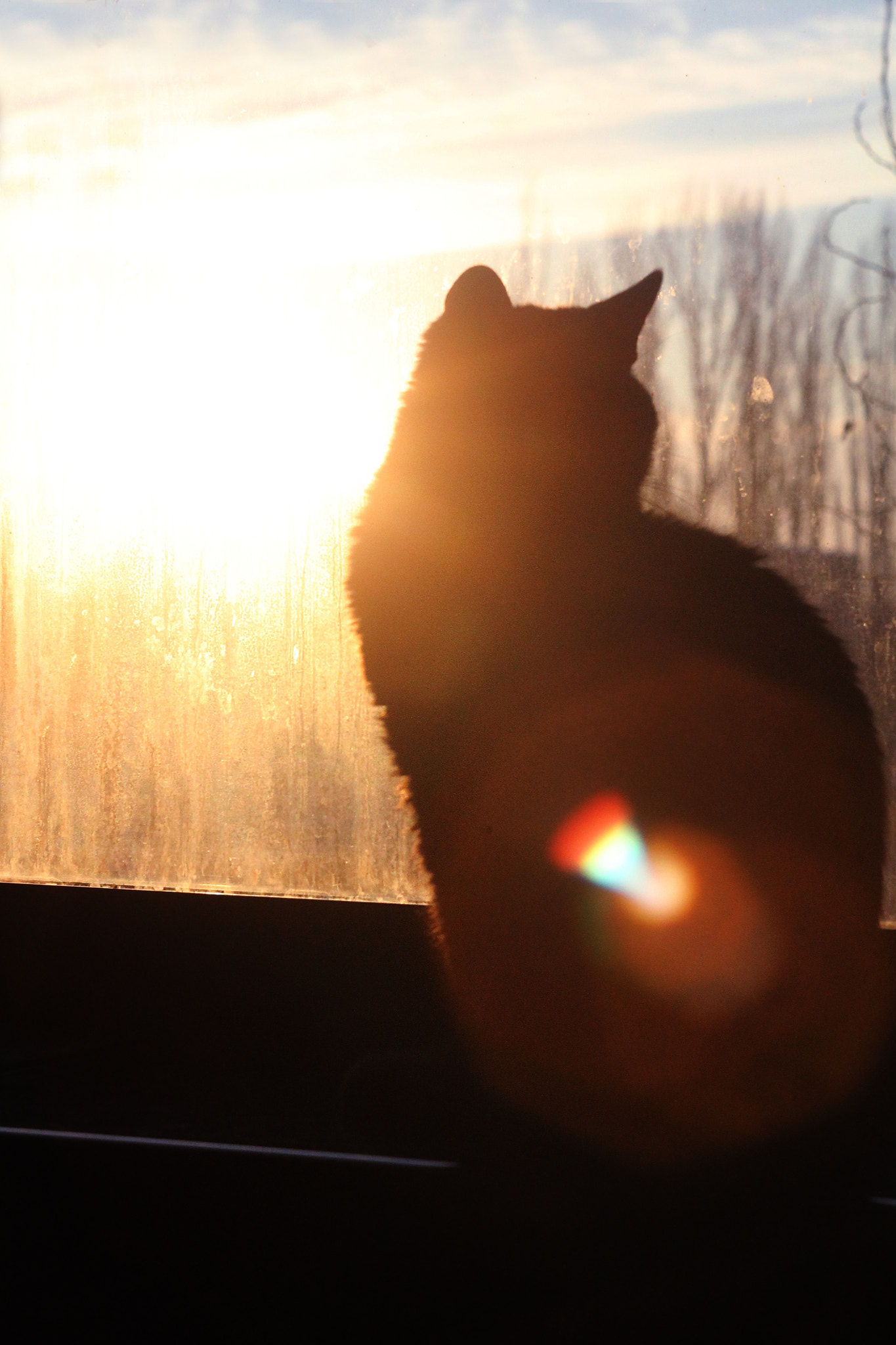 Canon EF 35-80mm f/4-5.6 sample photo. Img photography
