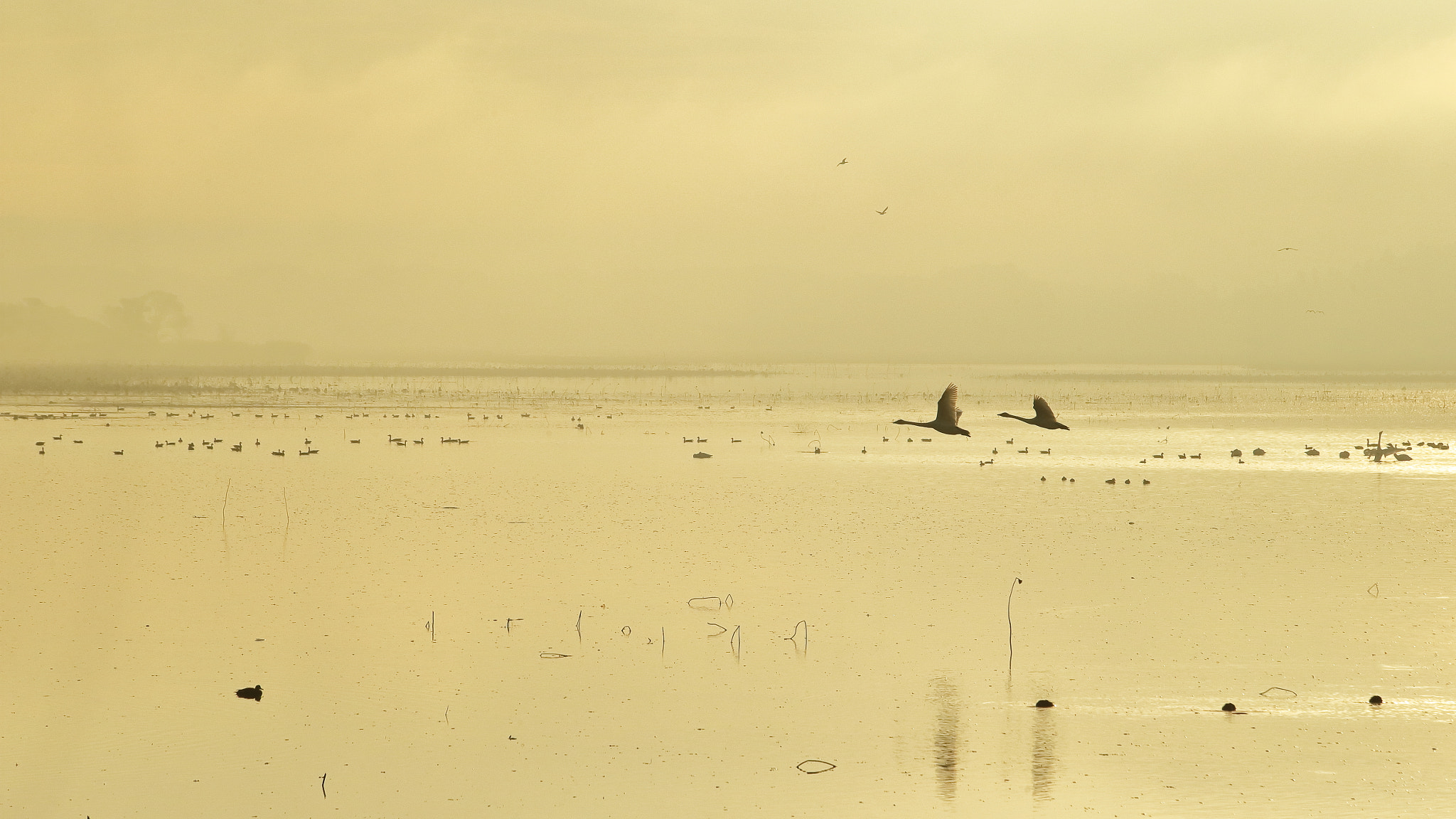 Canon EF 70-200mm F2.8L USM sample photo. Into the morning mist. photography