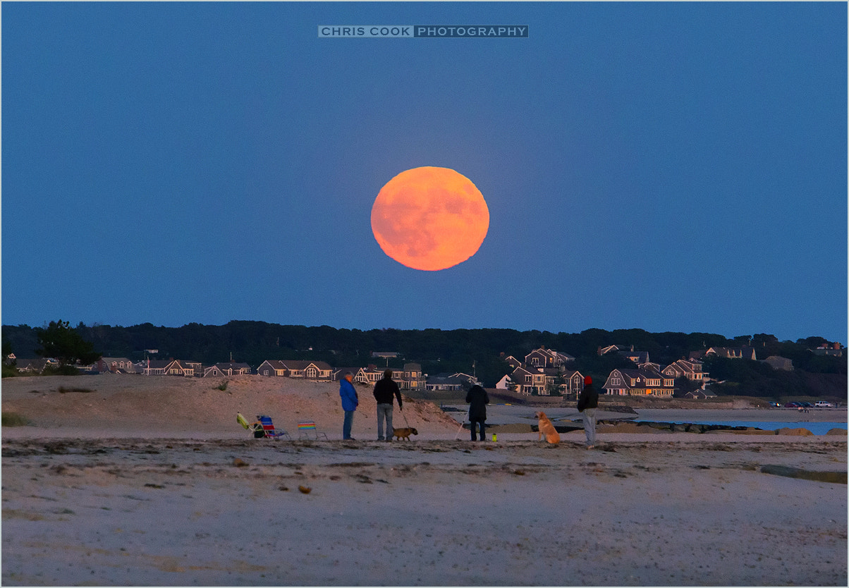 Canon EF 70-200mm F2.8L USM sample photo. The hunter moon photography
