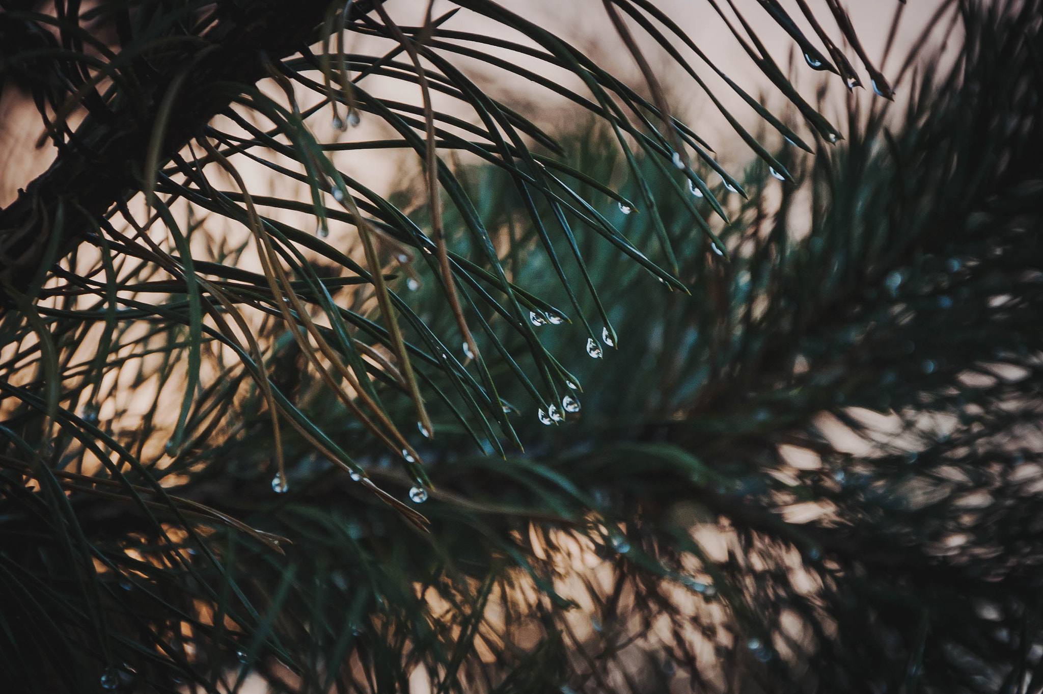 Nikon D70s sample photo. Water photography