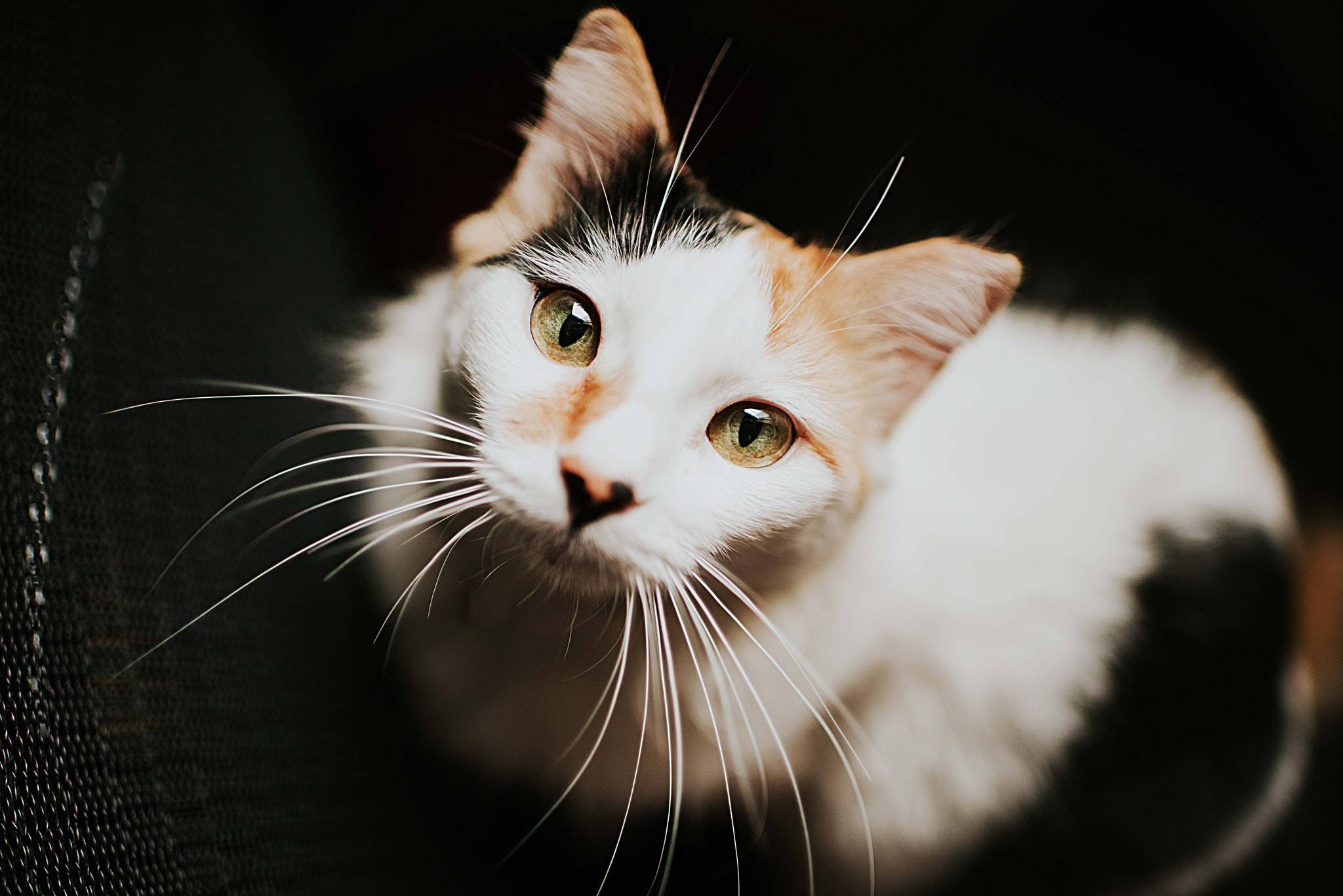 Nikon D810 + Nikon AF-S Nikkor 35mm F1.4G sample photo. Nikon photography
