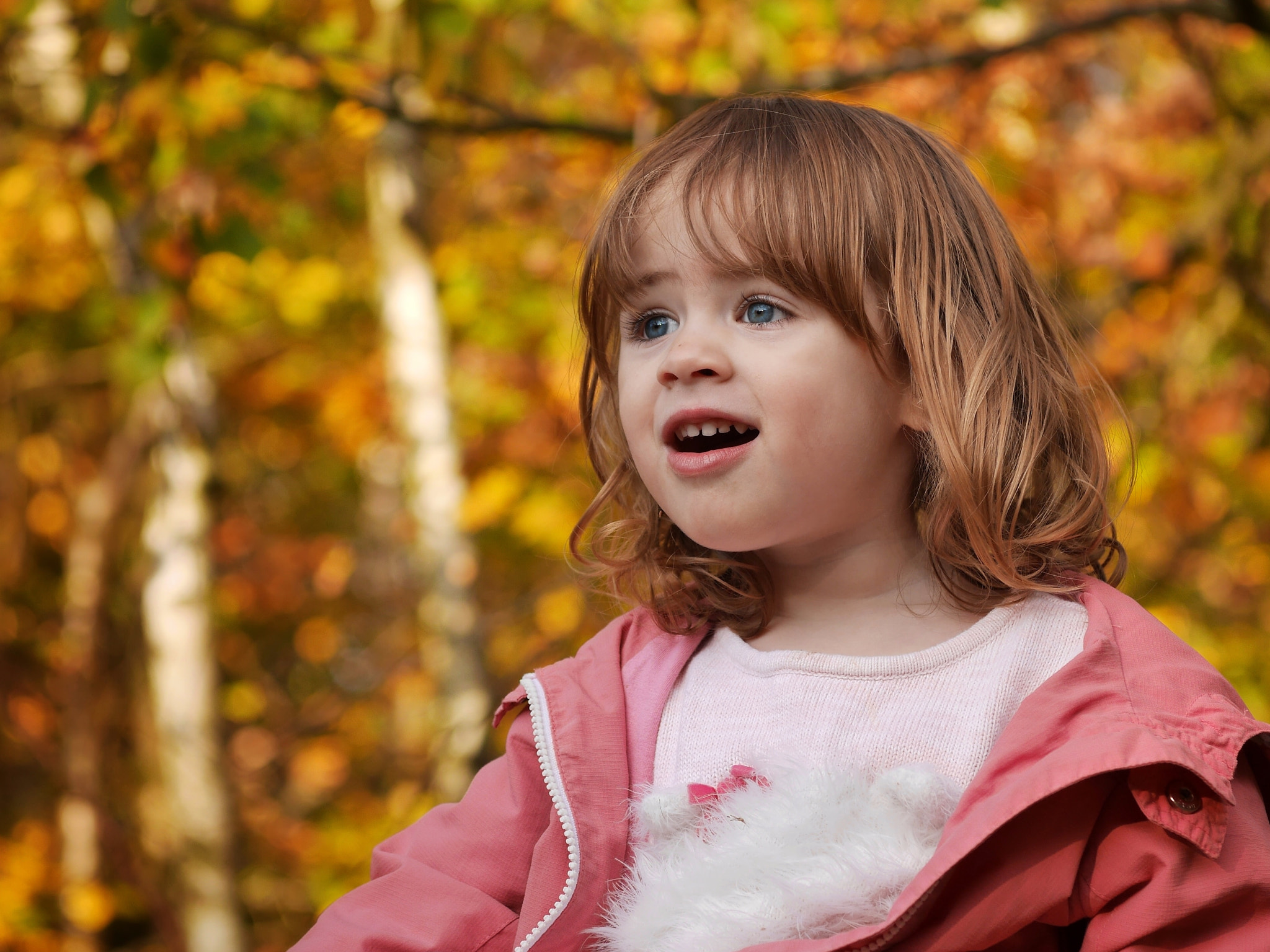 Panasonic Lumix DMC-GX7 + Sigma 60mm F2.8 DN Art sample photo. Autumnal wonderment photography