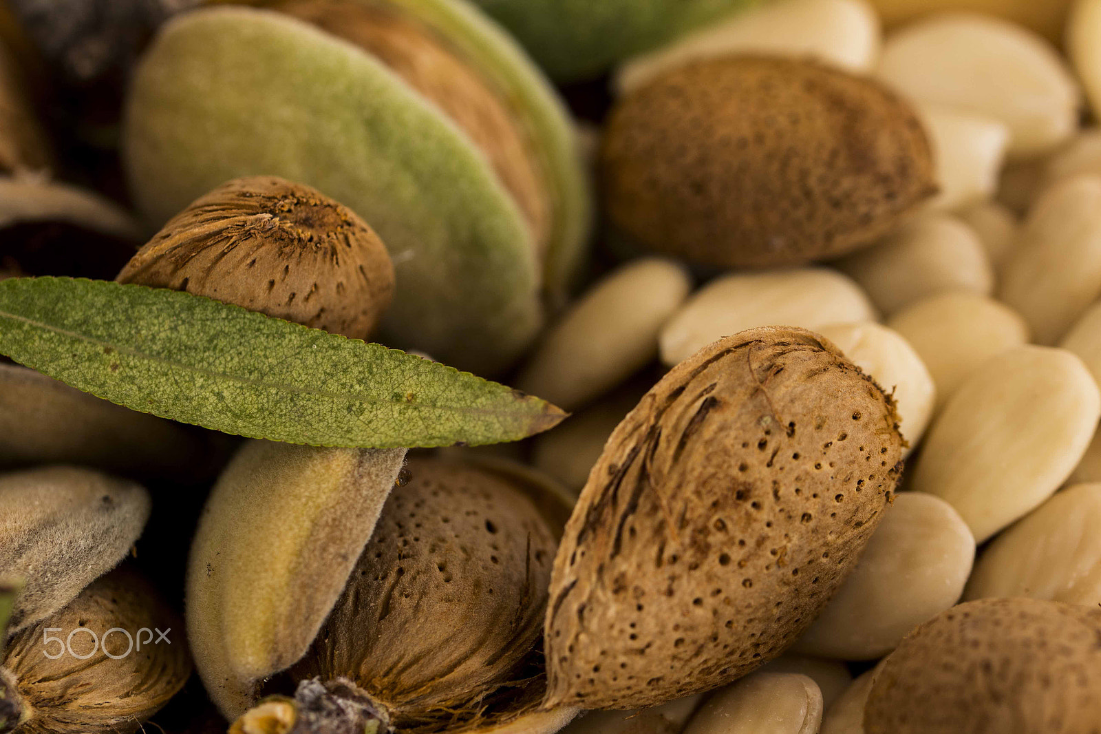 Canon EF 100mm F2.8L Macro IS USM sample photo. Almendras crudo photography