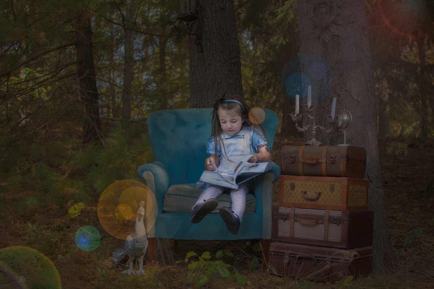 Nikon AF-S DX Nikkor 35mm F1.8G sample photo. Alice in wonderland photography