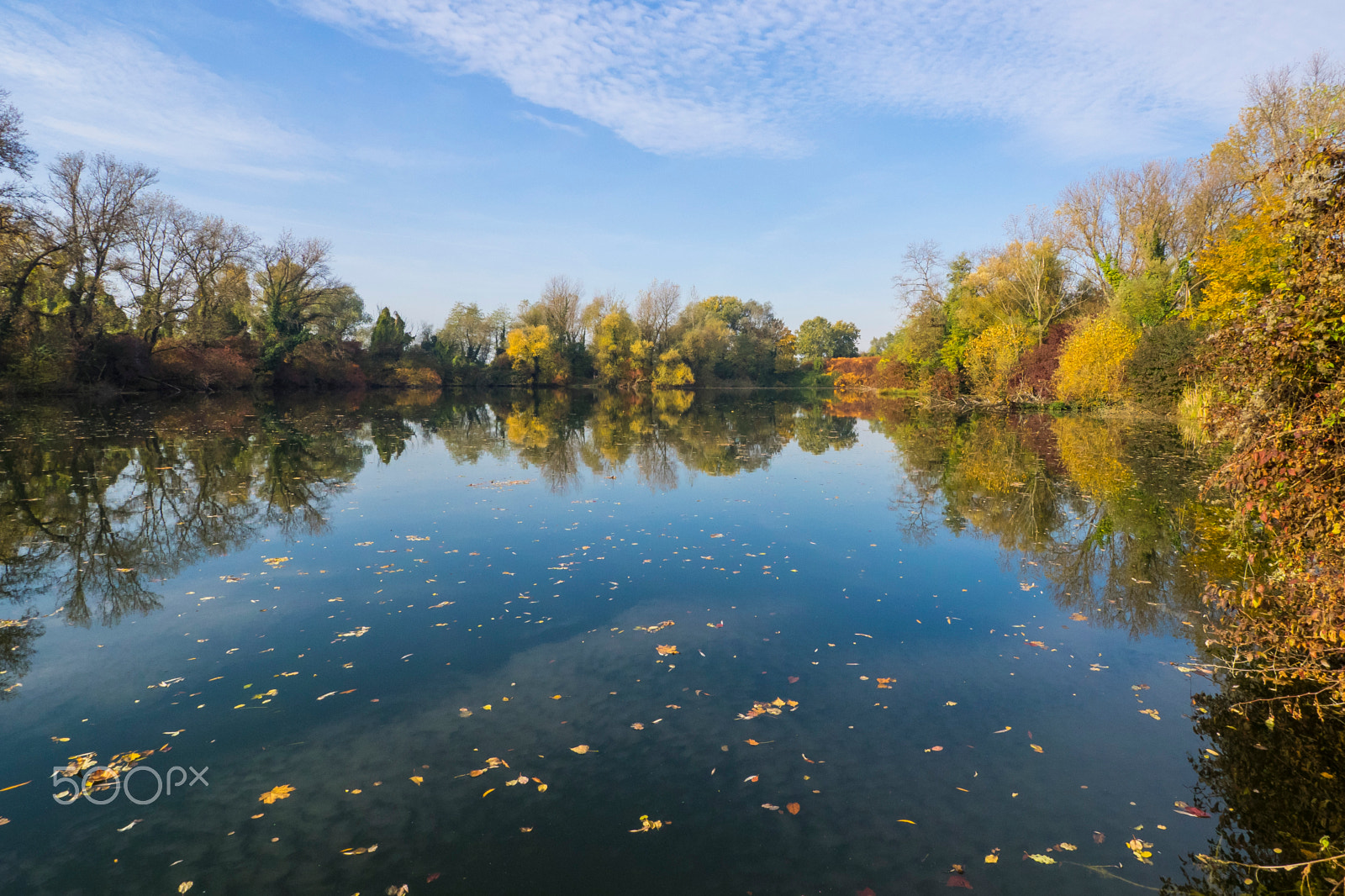 OLYMPUS M.9-18mm F4.0-5.6 sample photo. Autumn photography