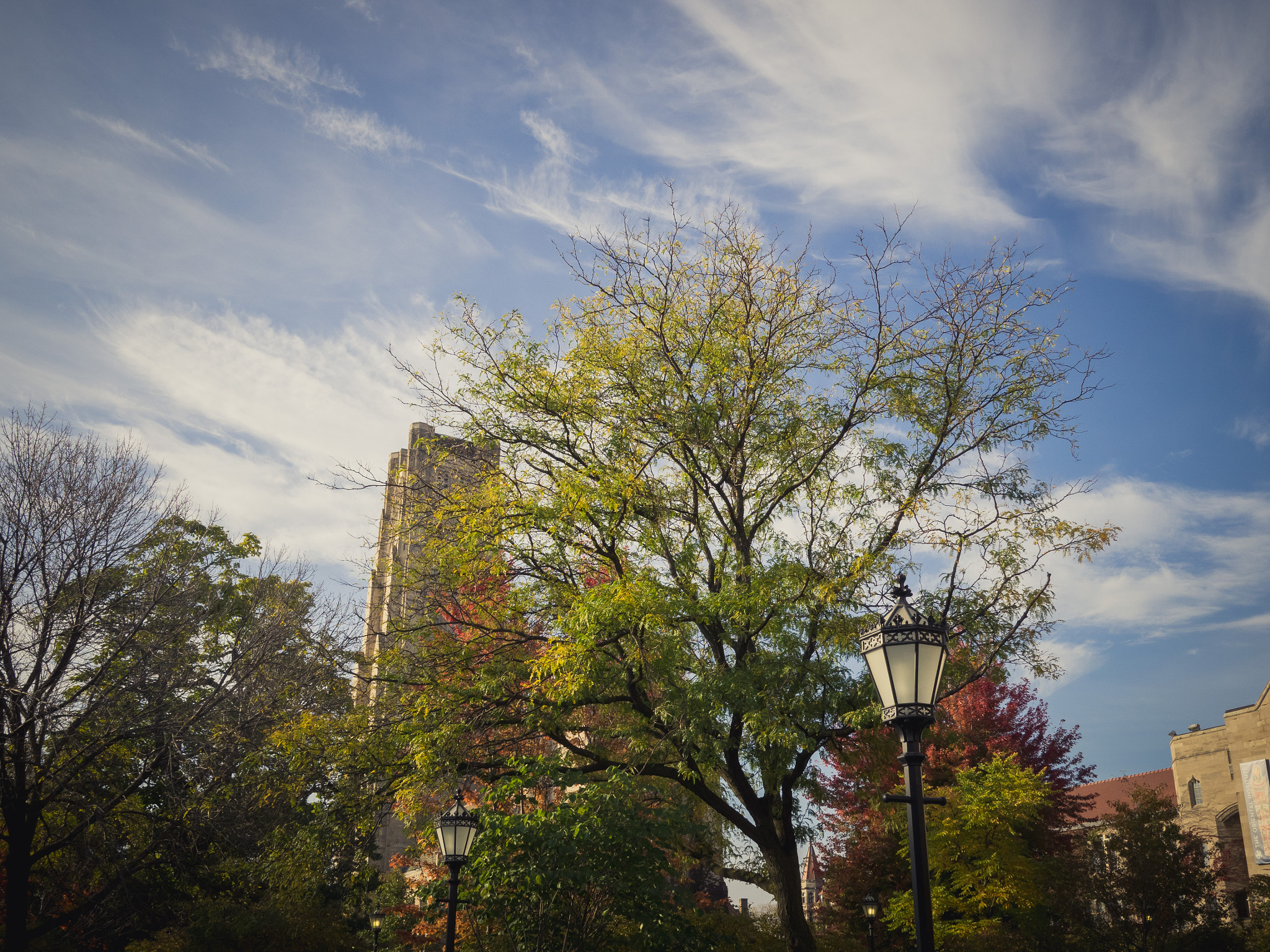 Olympus OM-D E-M1 + LEICA DG SUMMILUX 15/F1.7 sample photo. Clouds overhead photography