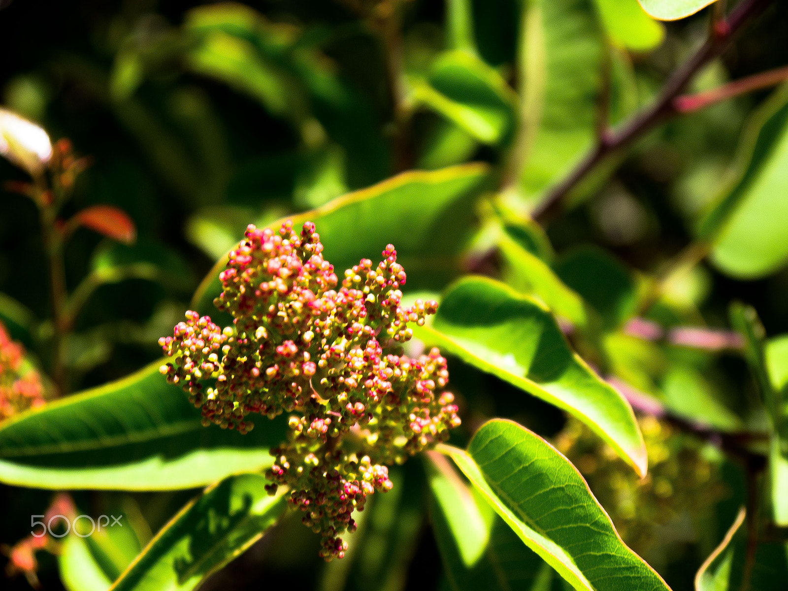 Panasonic Lumix DMC-GH2 sample photo